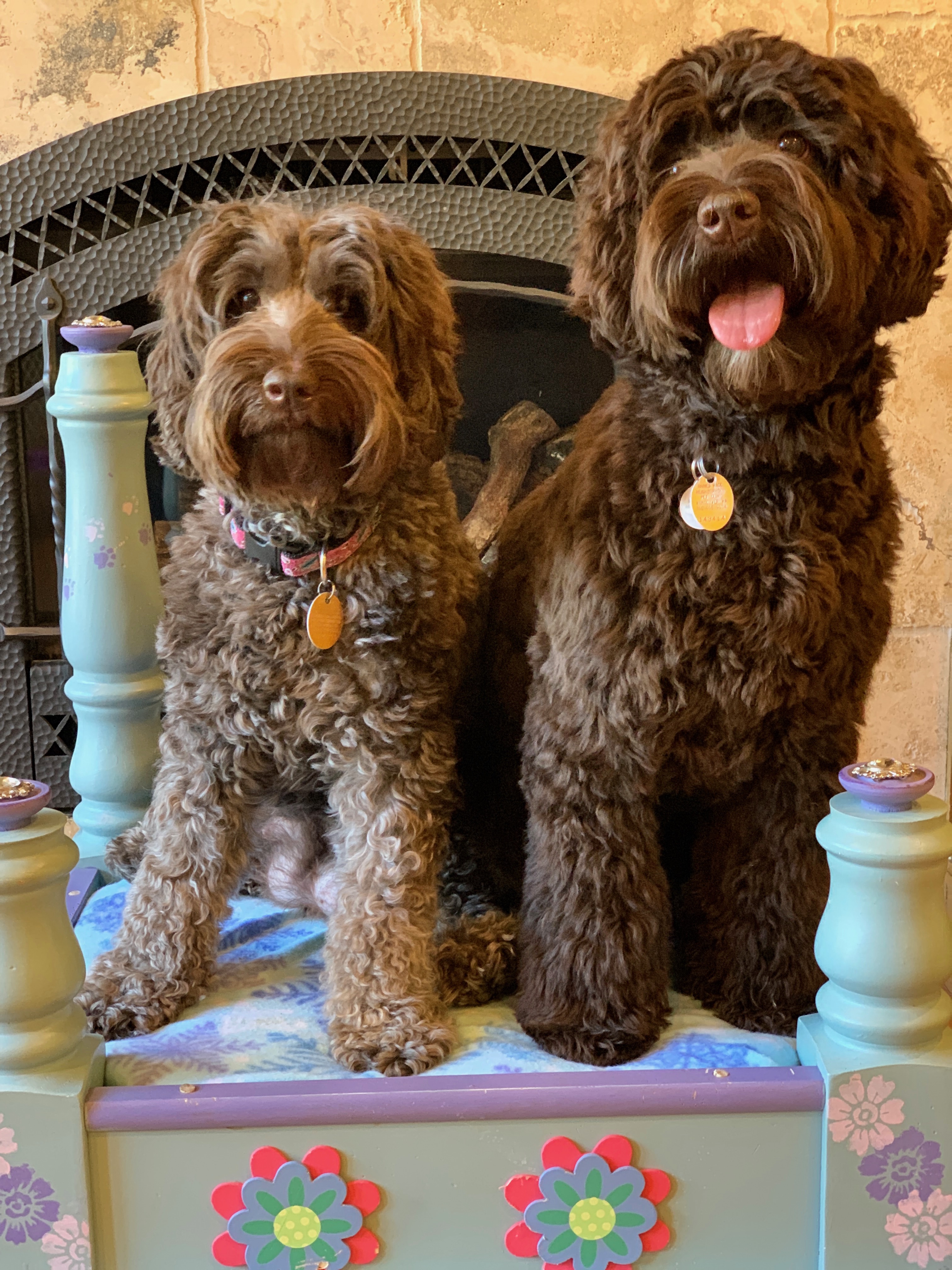 Mom and Kona