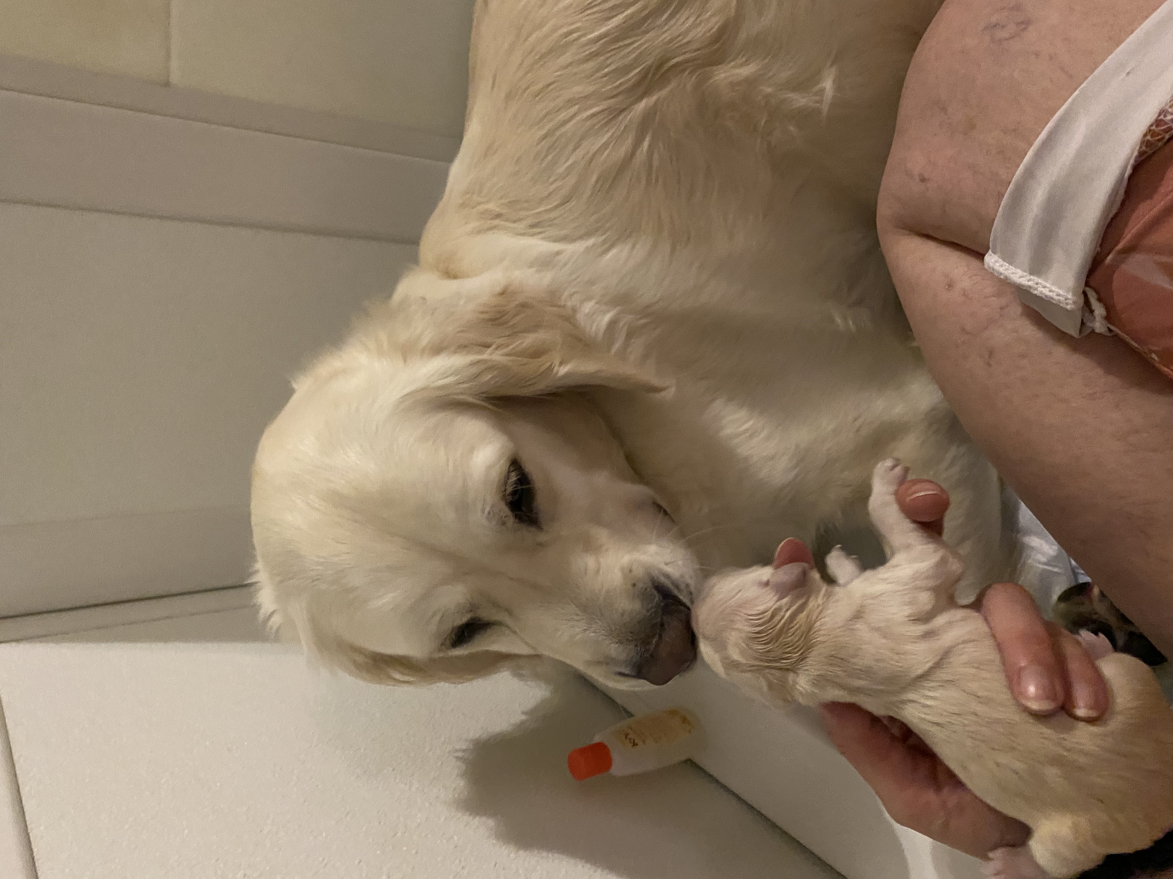 First time mama ❤️