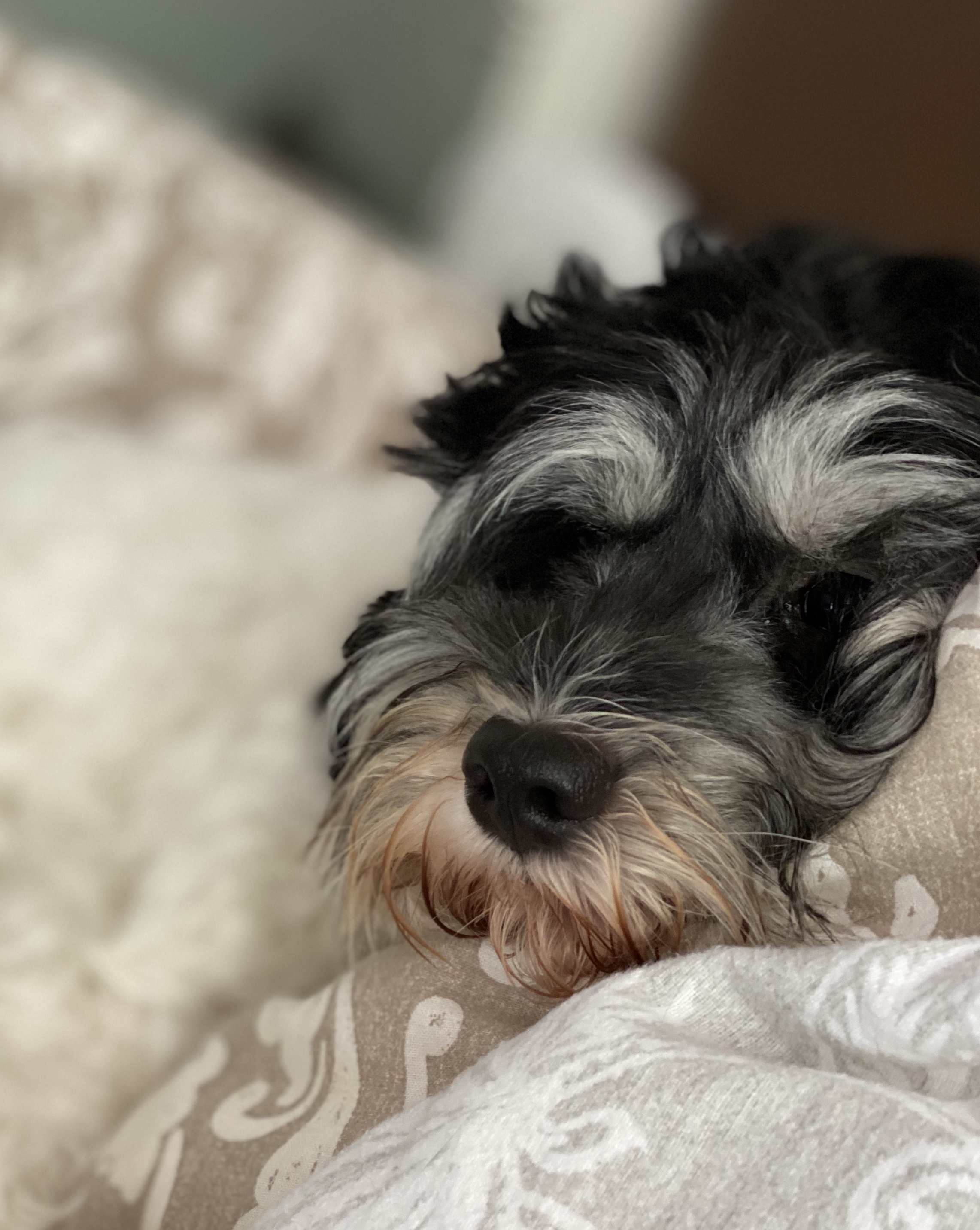 Changed My Mind let's nap ❤️