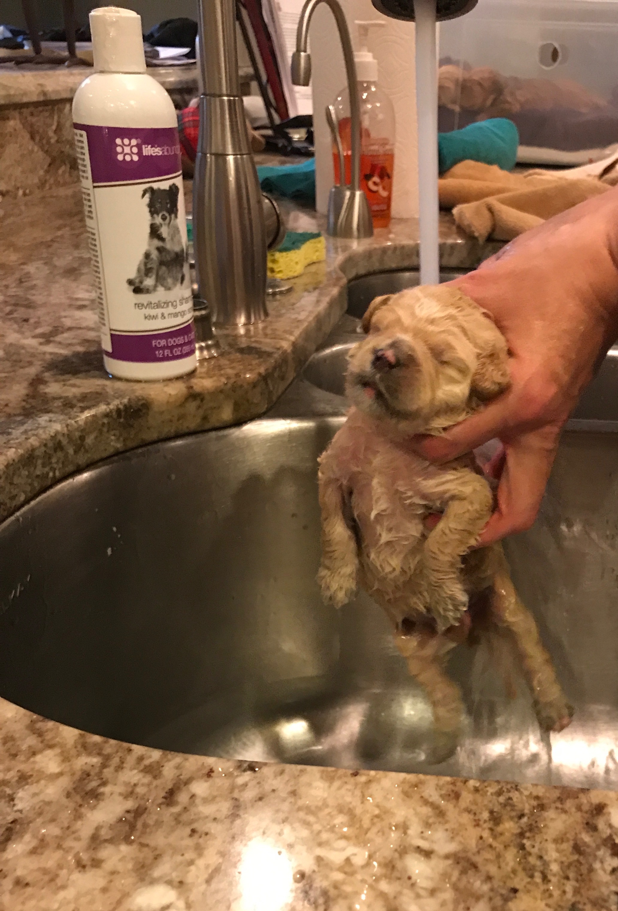 Spa day