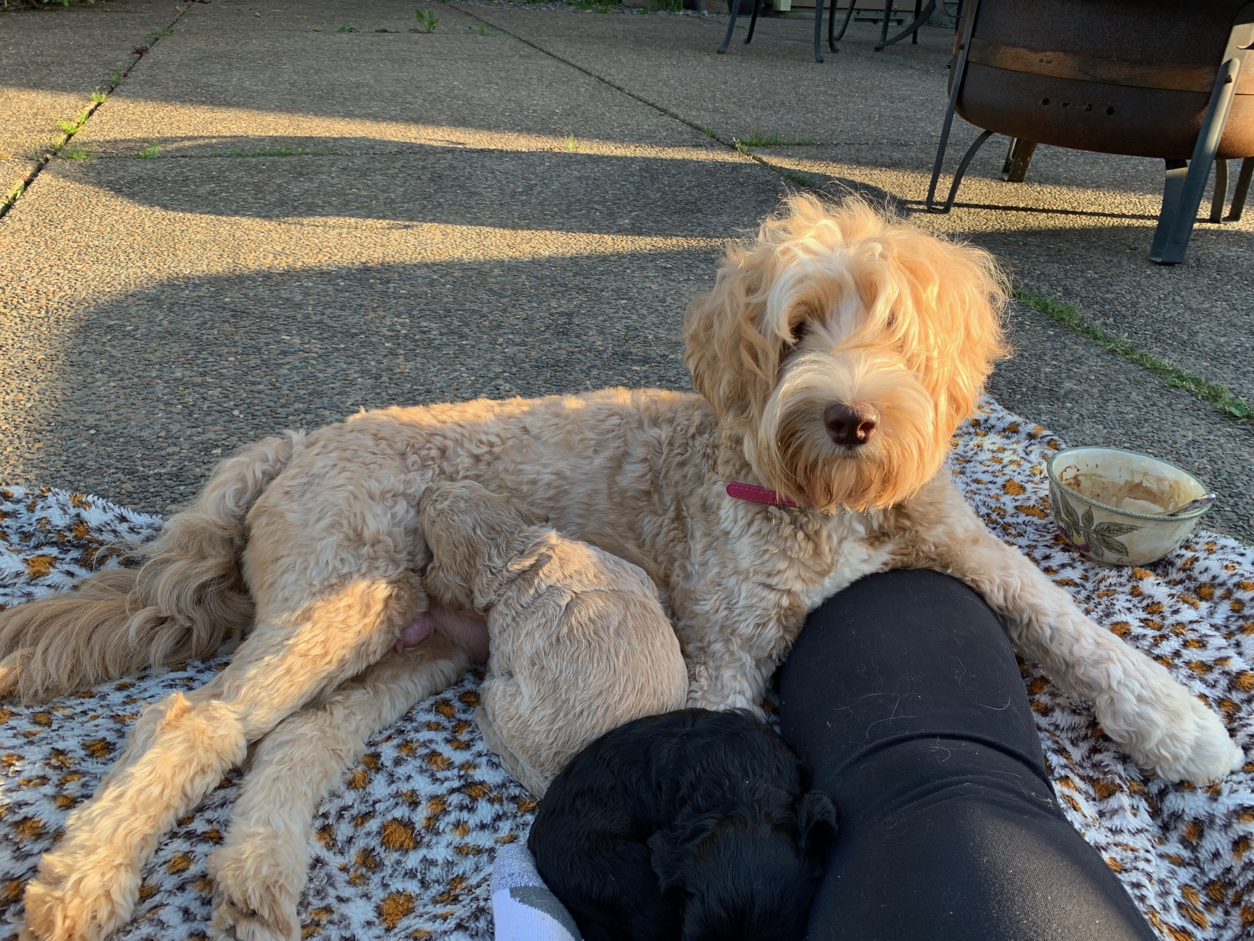 Hanging out