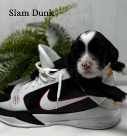 1755200776.751725-6915A9F3-E6CB-4D93-BA68-41C9263DF23A