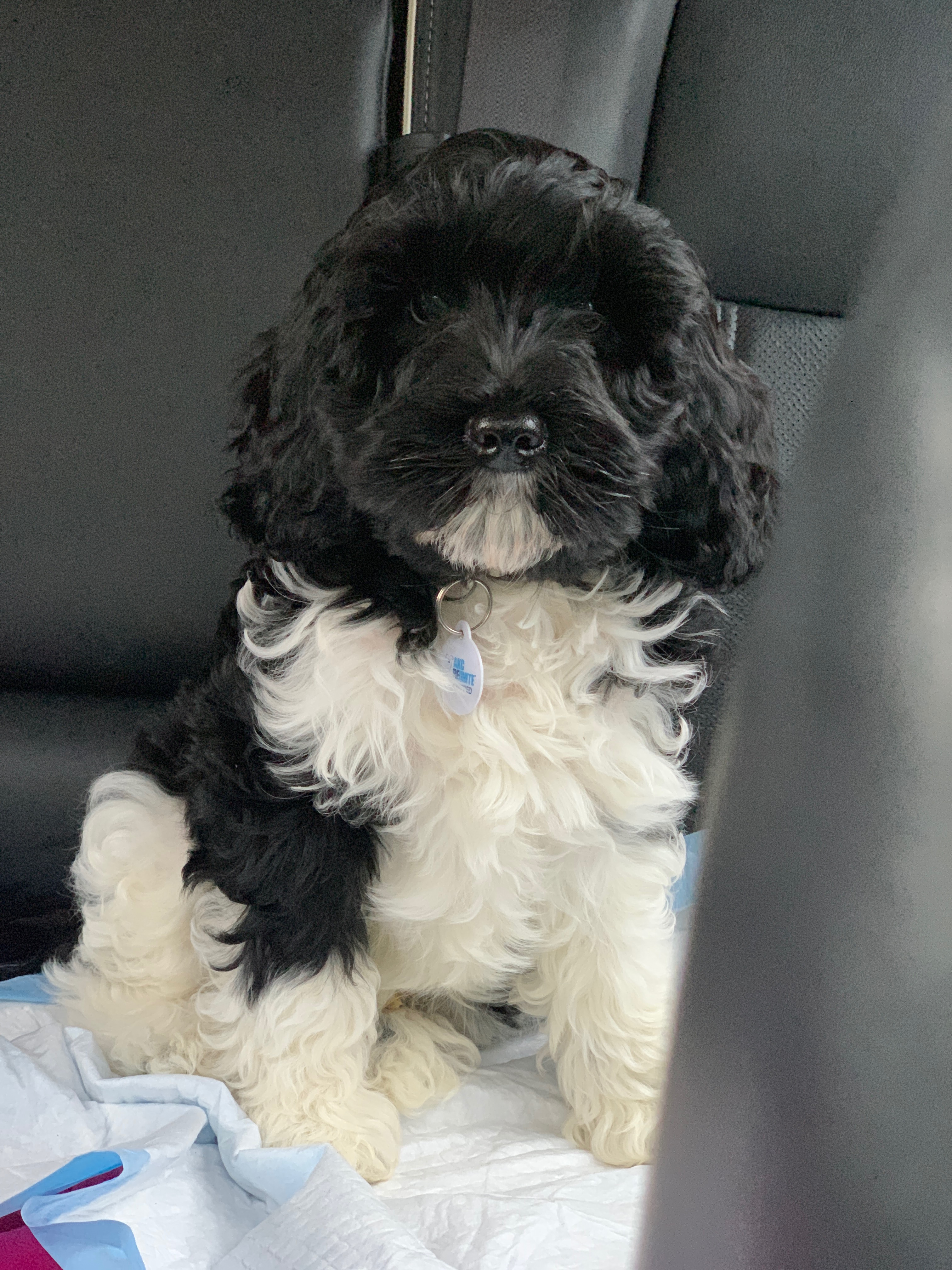Giorgio as a baby