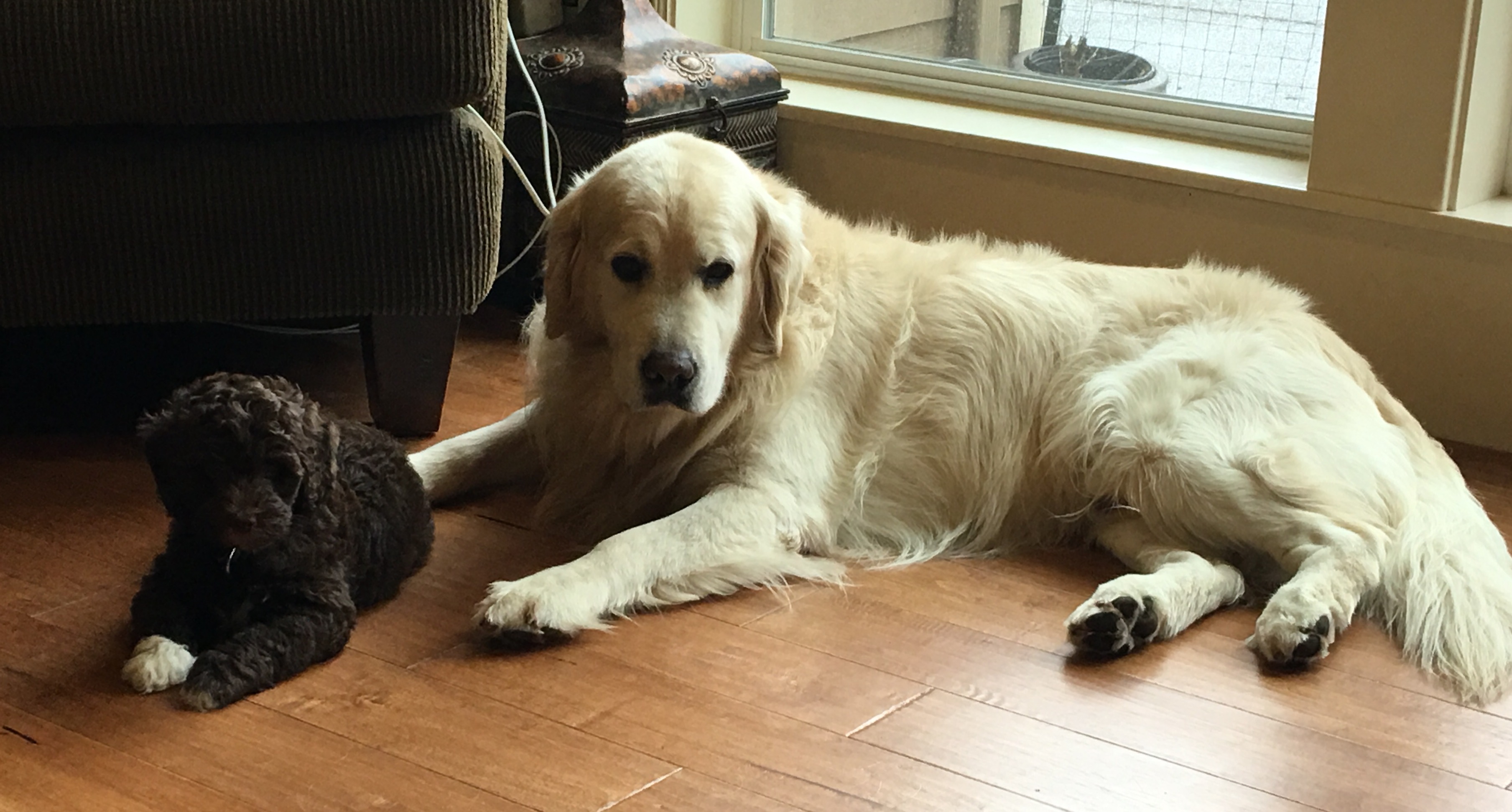 Truffles & Sampson