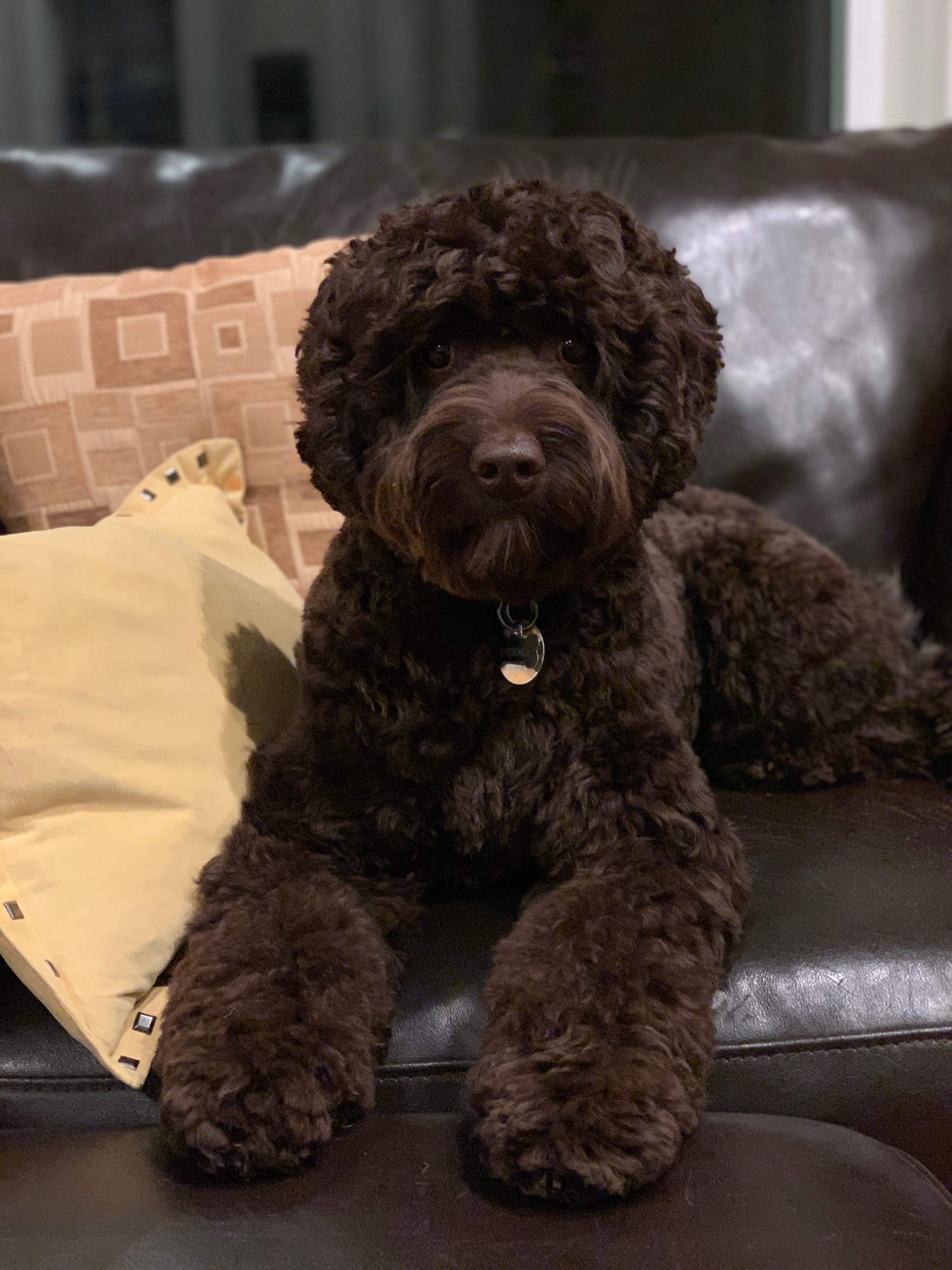 Kona