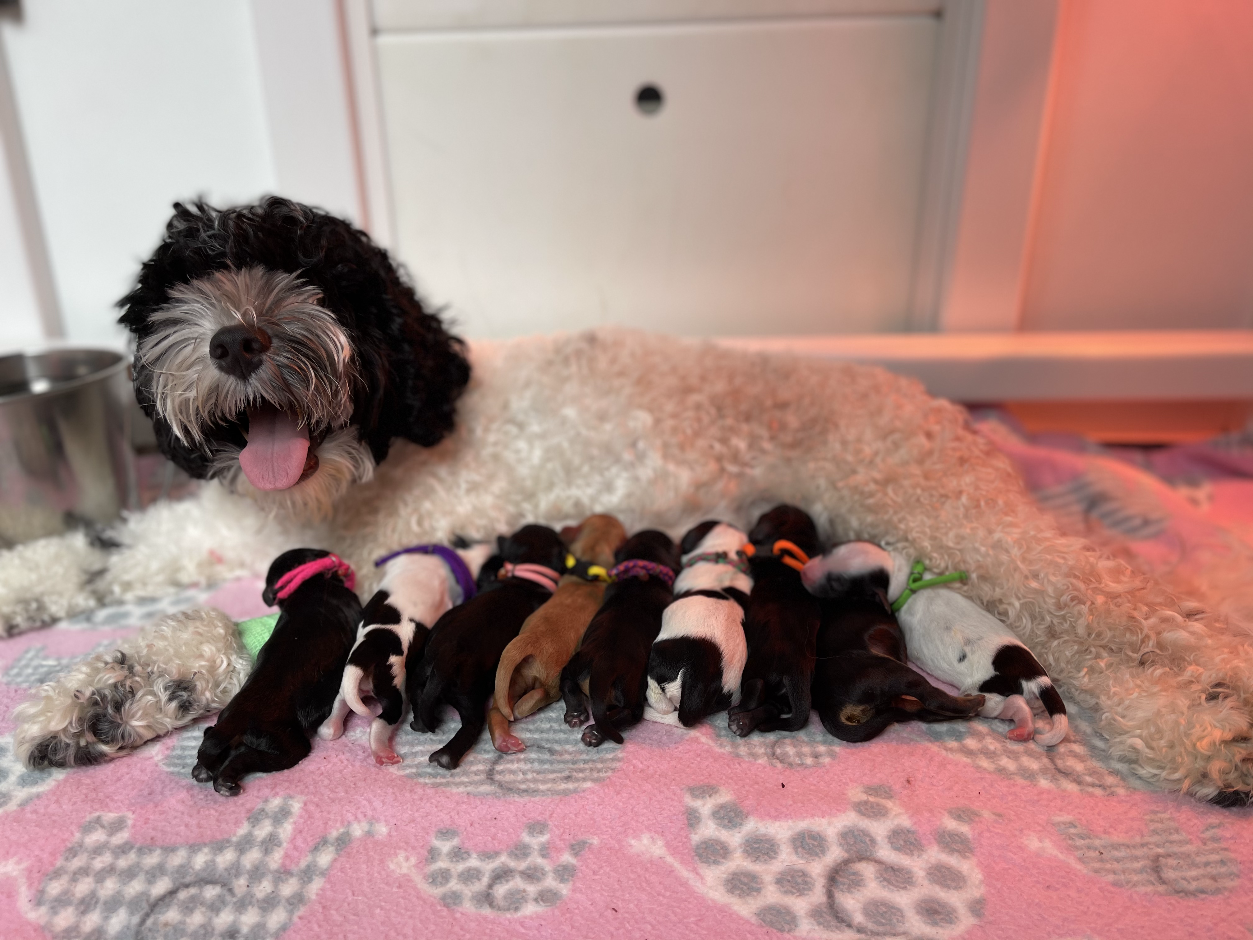 Proud Mama!