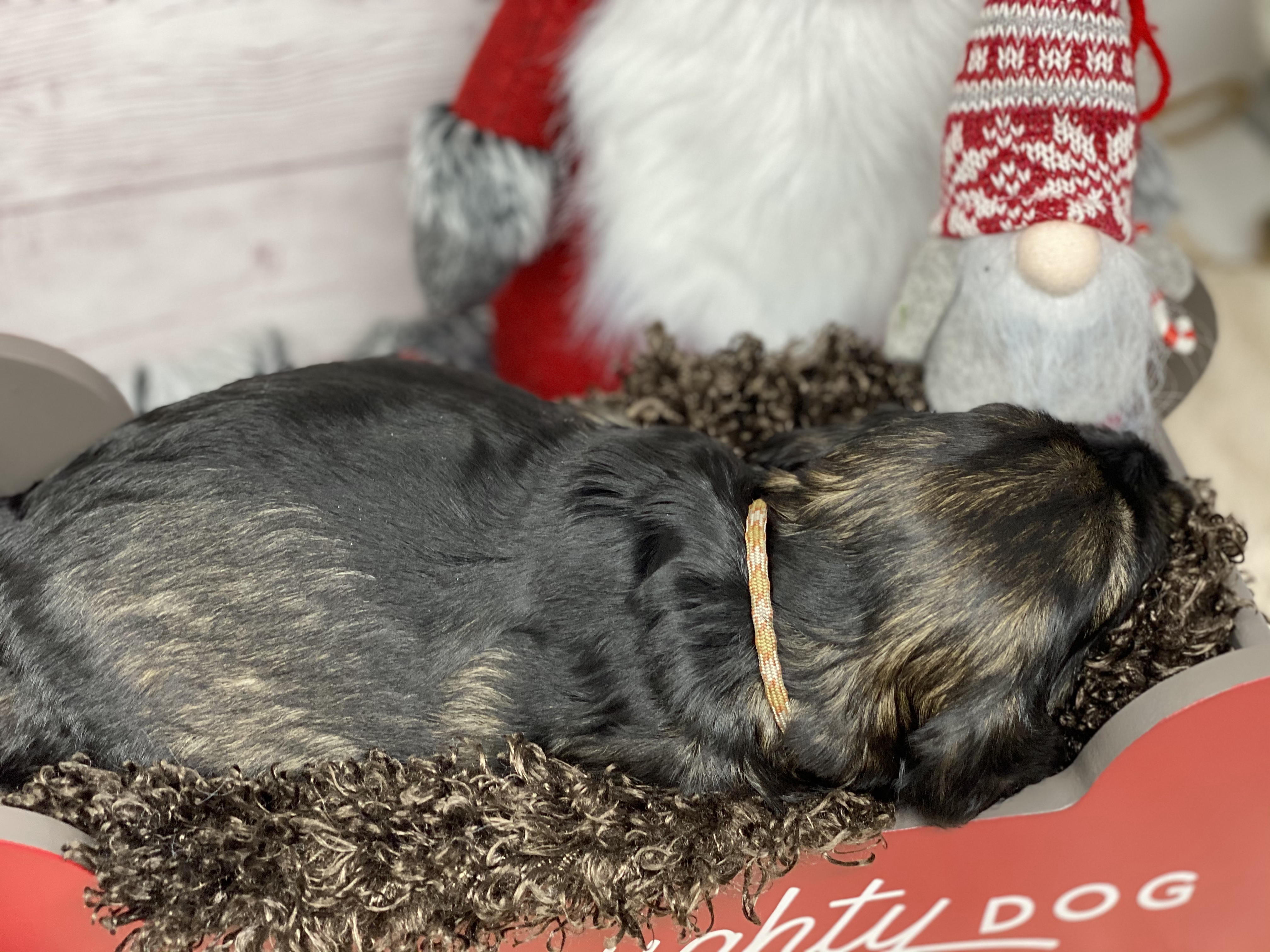 Tinsel