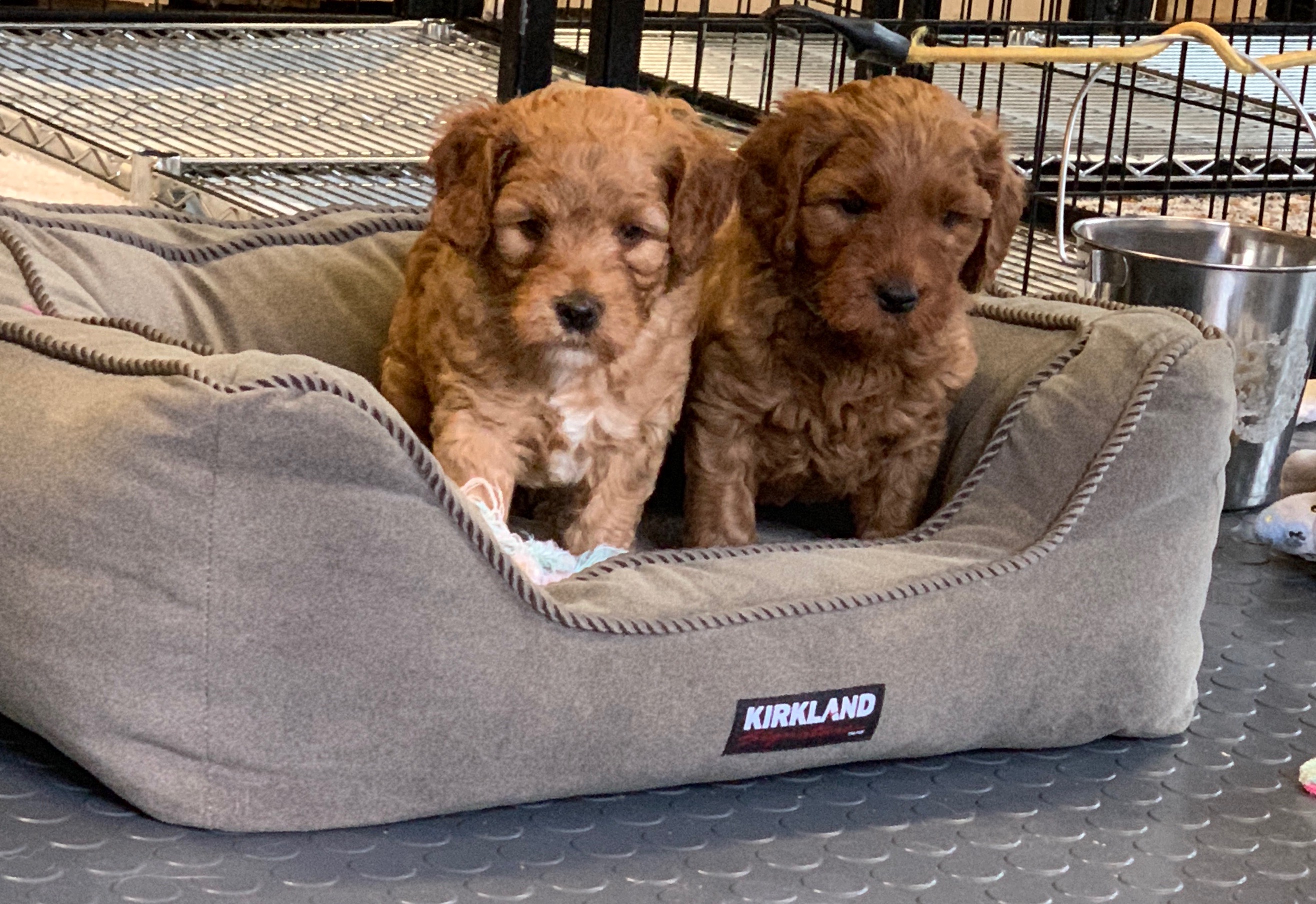 Learning to share
