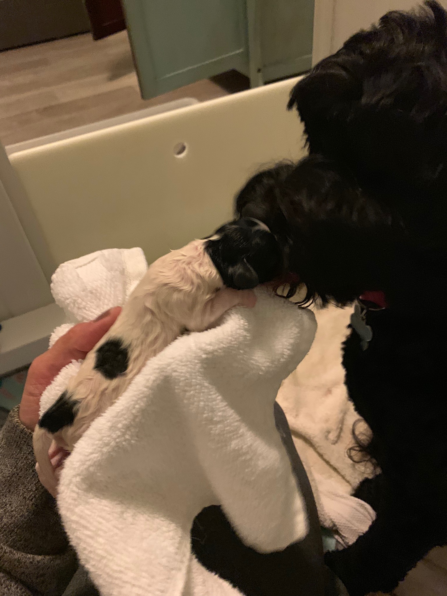 Mama kisses