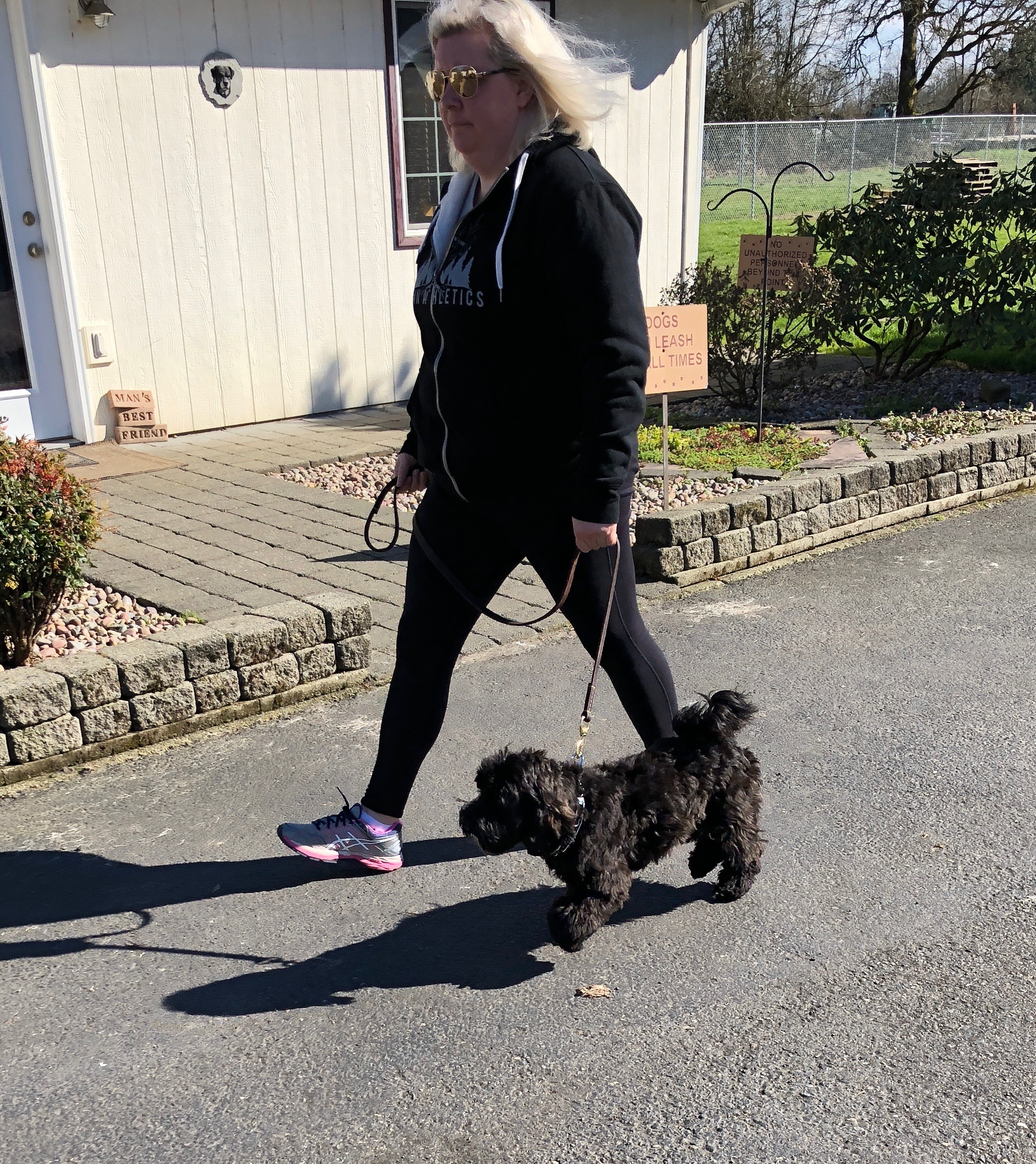 Obedience Training