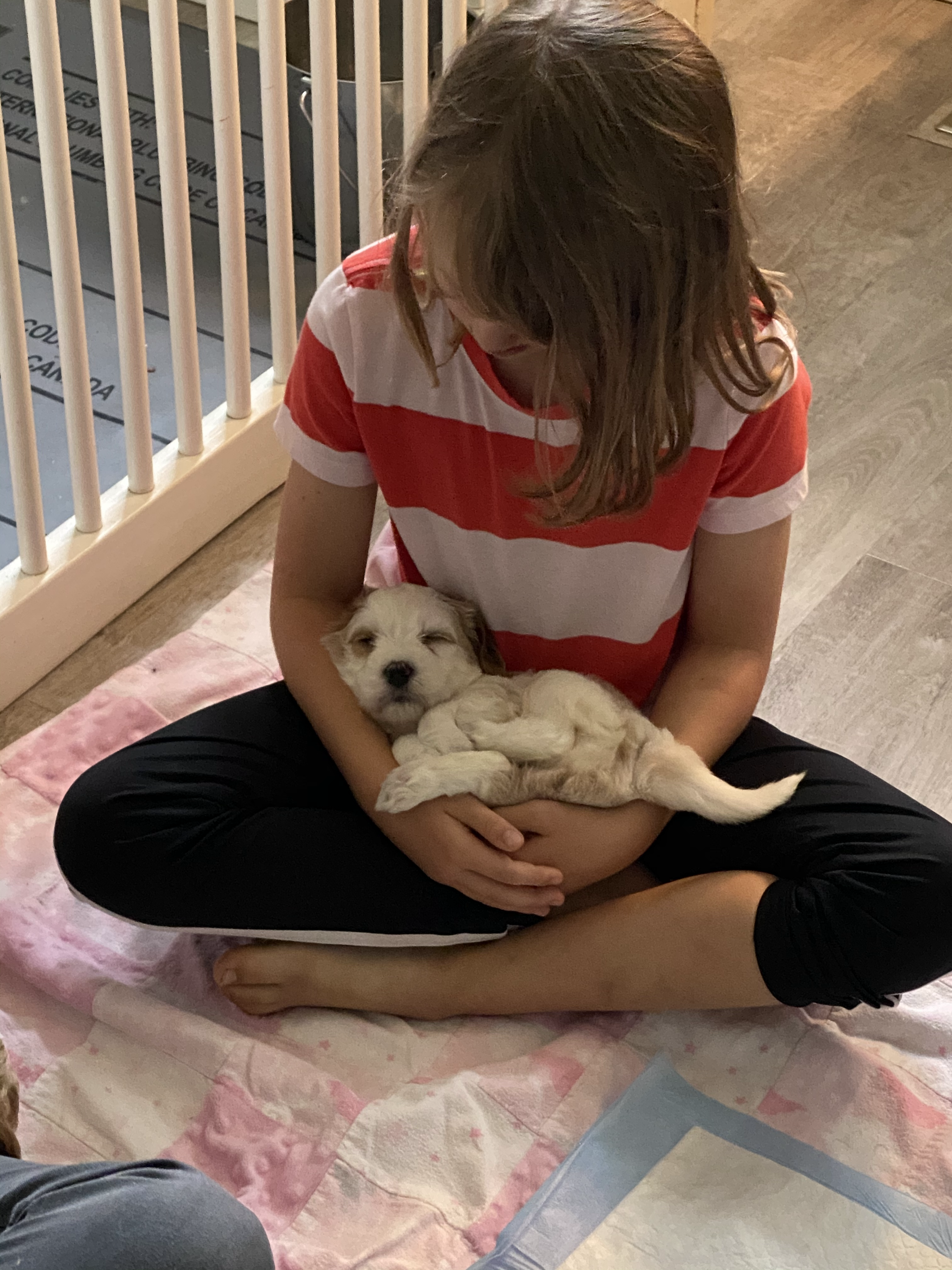 Puppy Snuggles