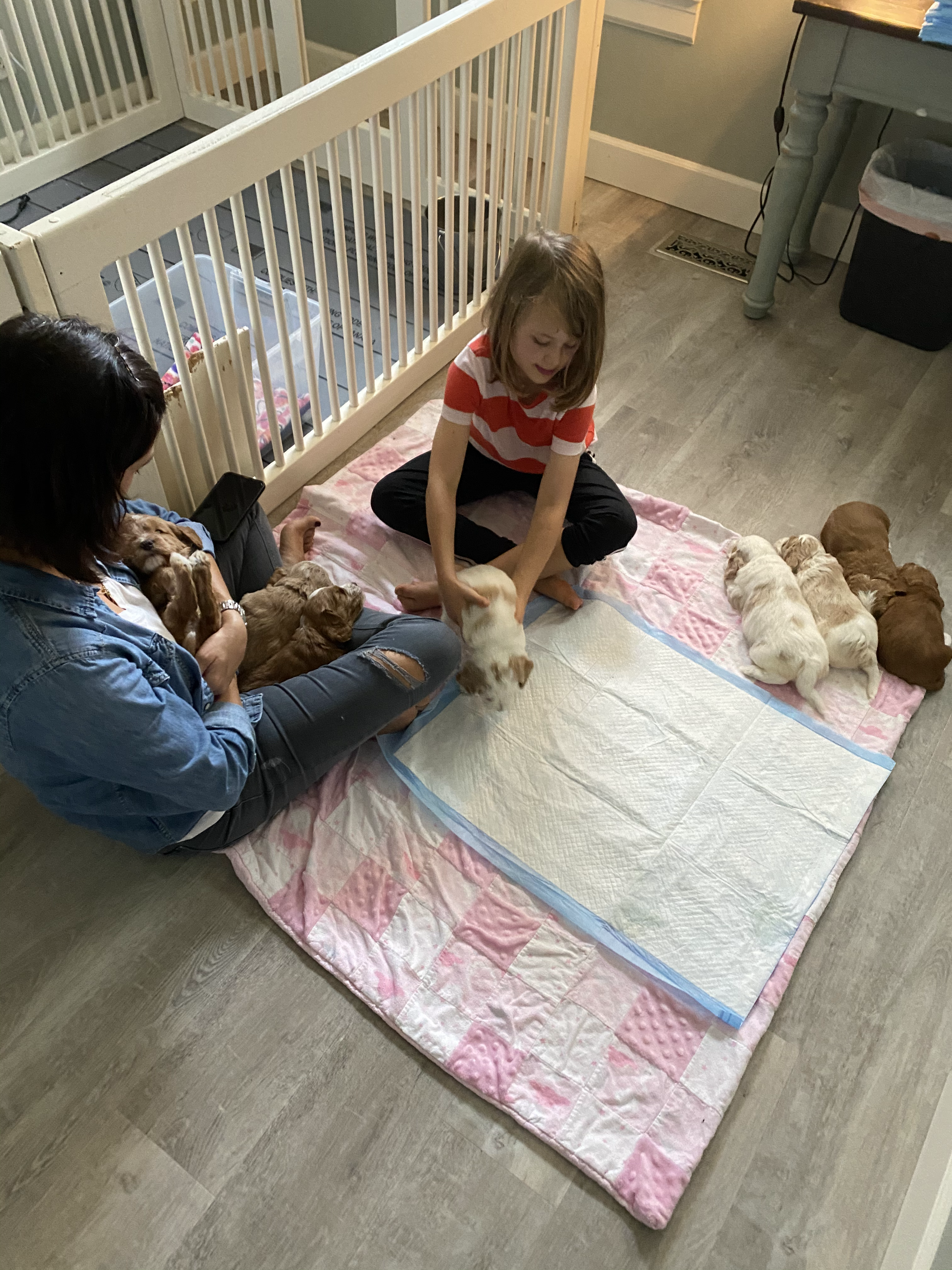 Visiting