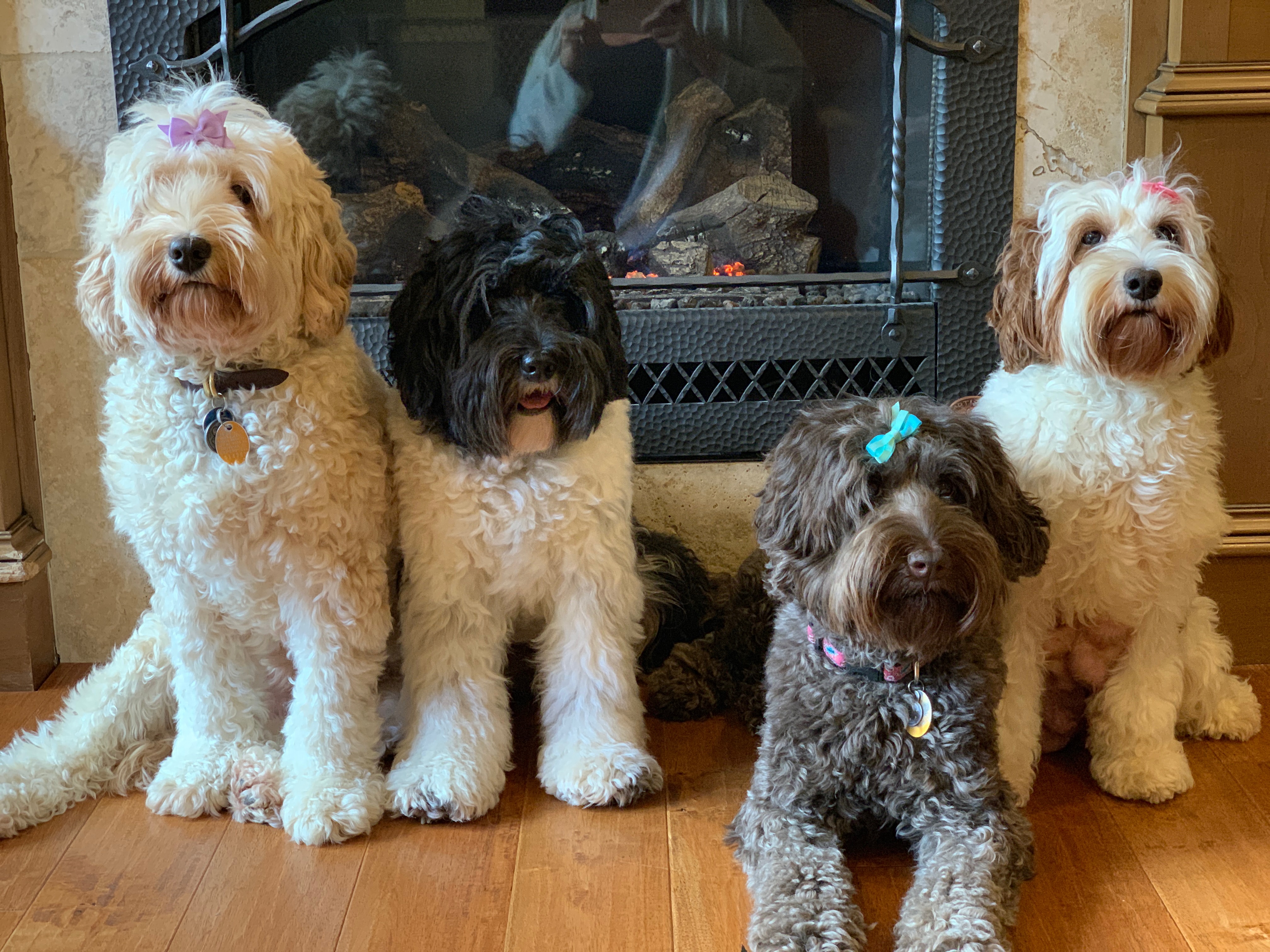 The Gang 💕