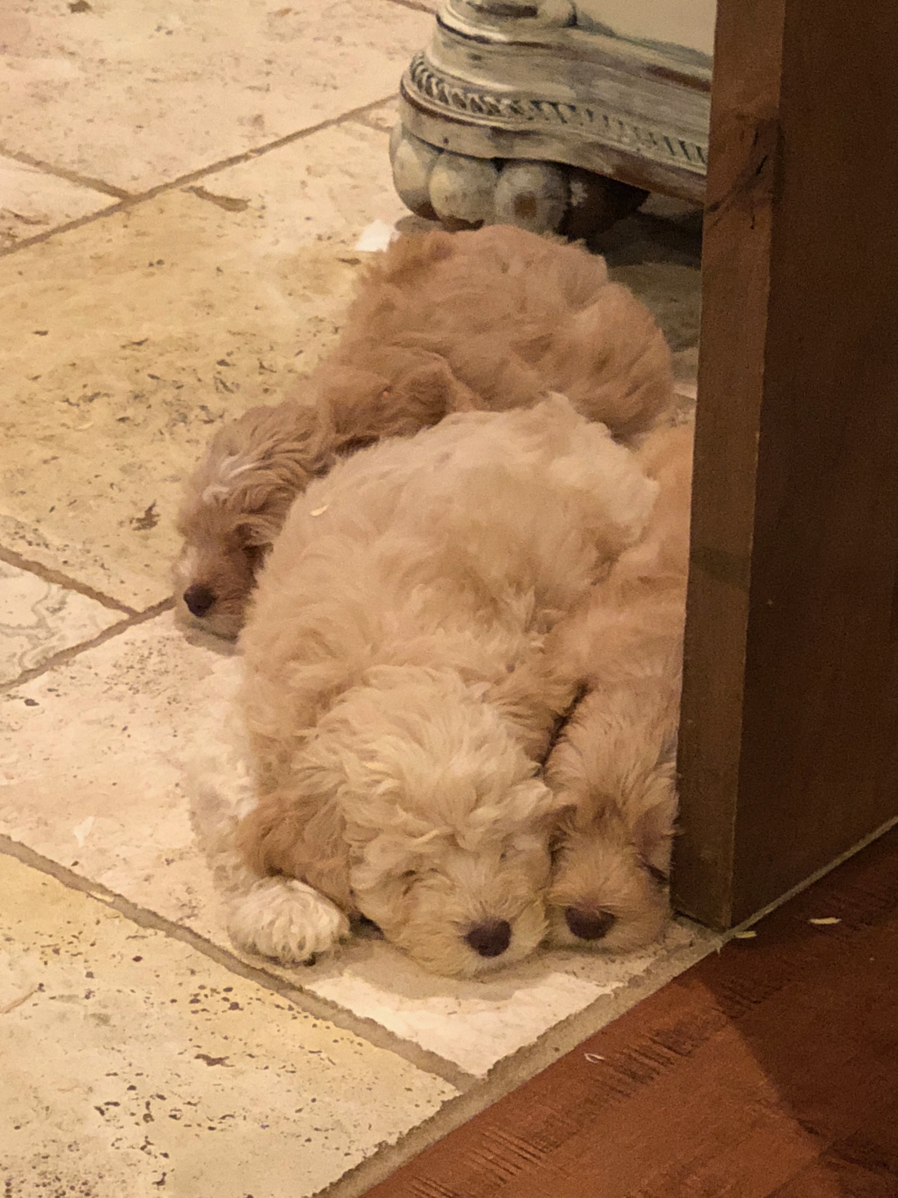 Can't stay awake any longer