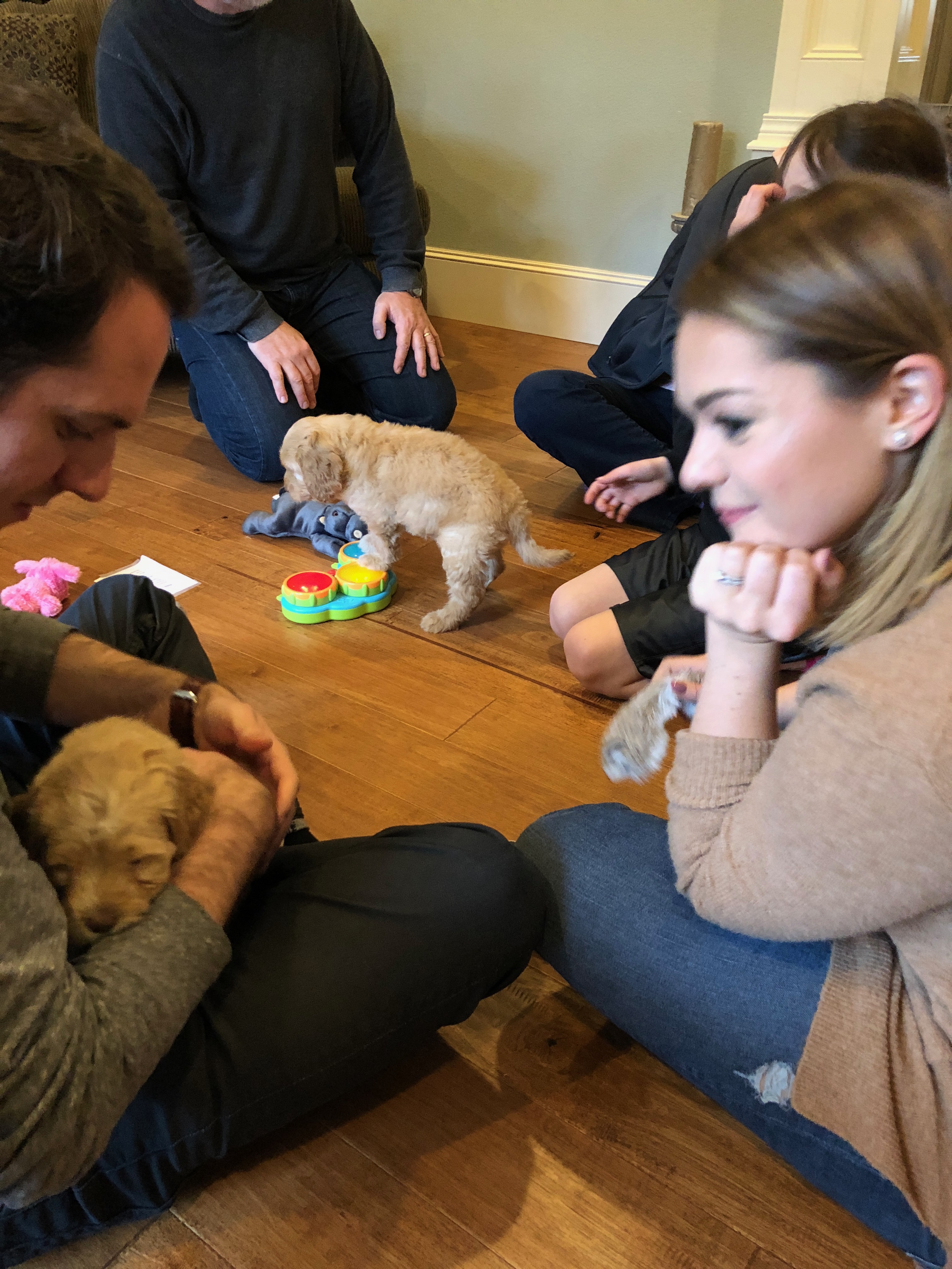 Puppy Play Date