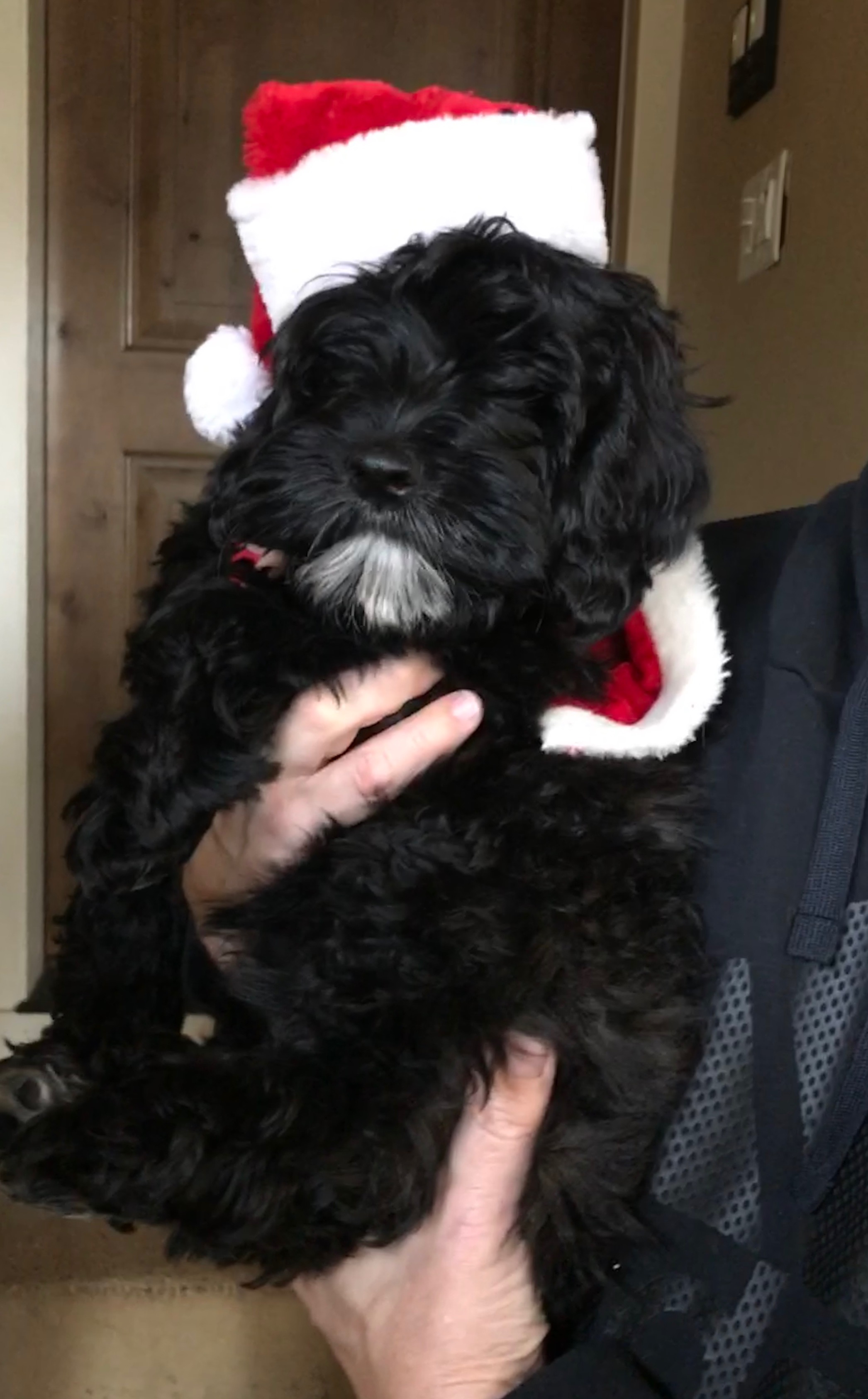 Christmas Spirit