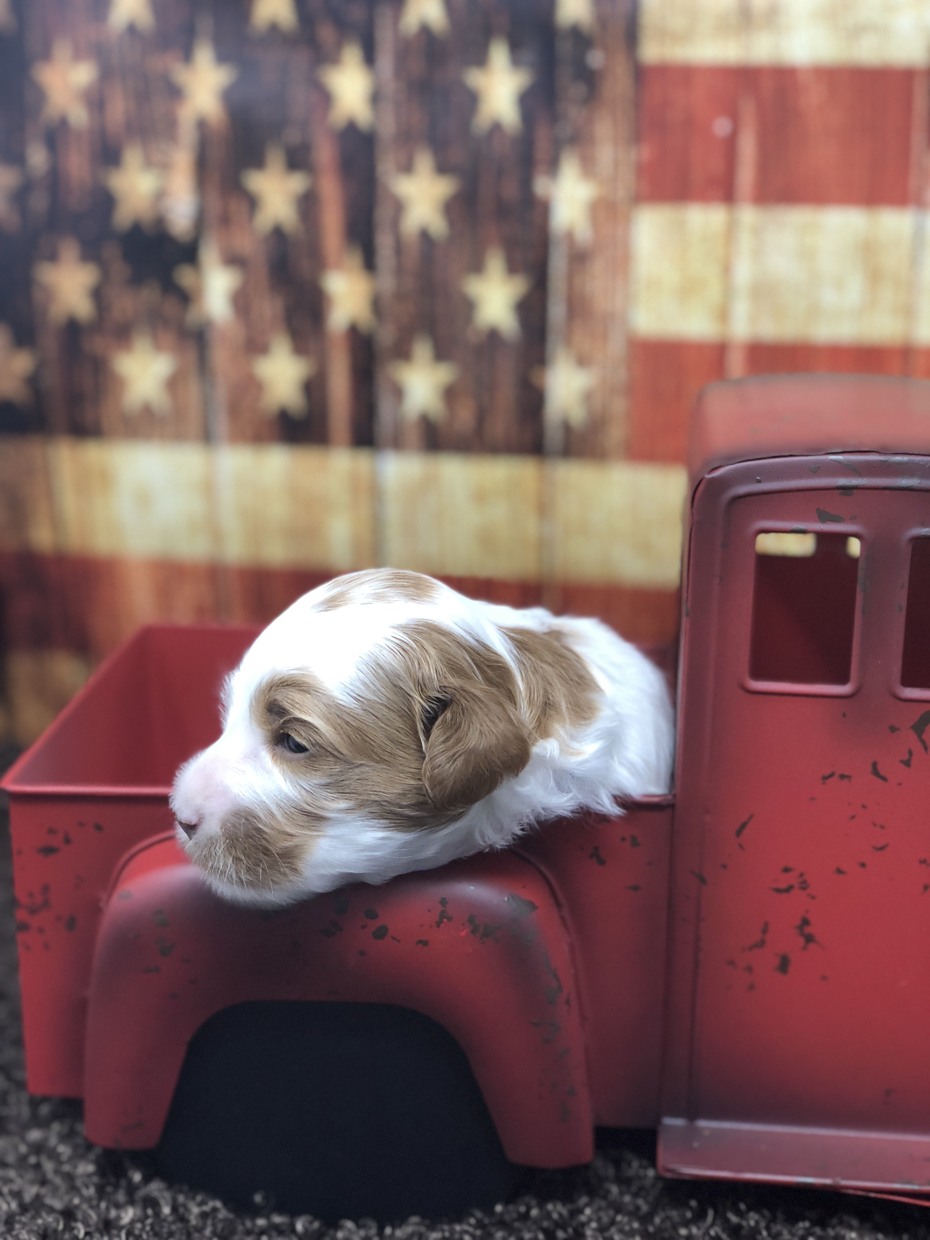 Mac