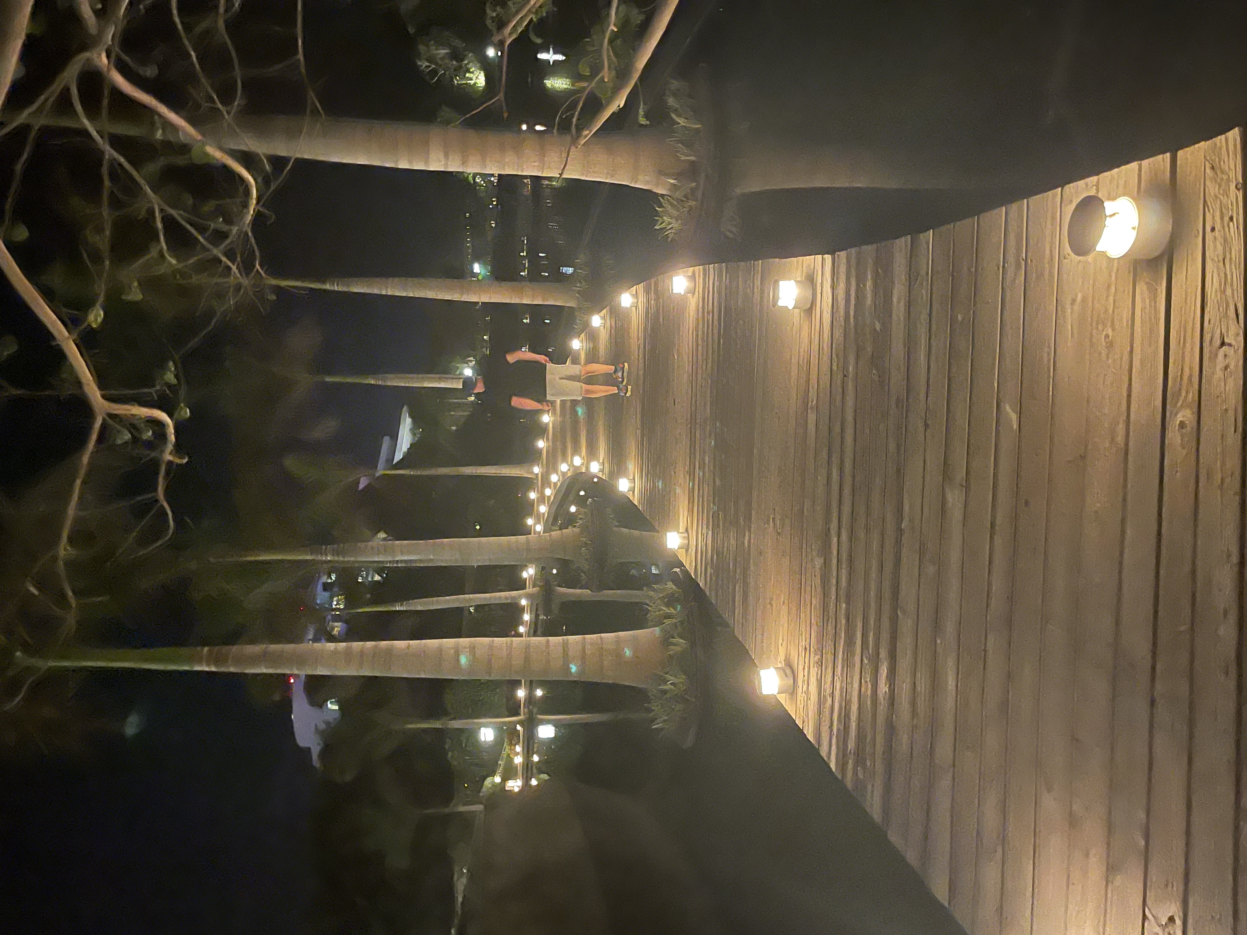 Evening Walk