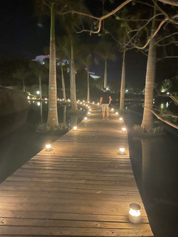 Evening Walk