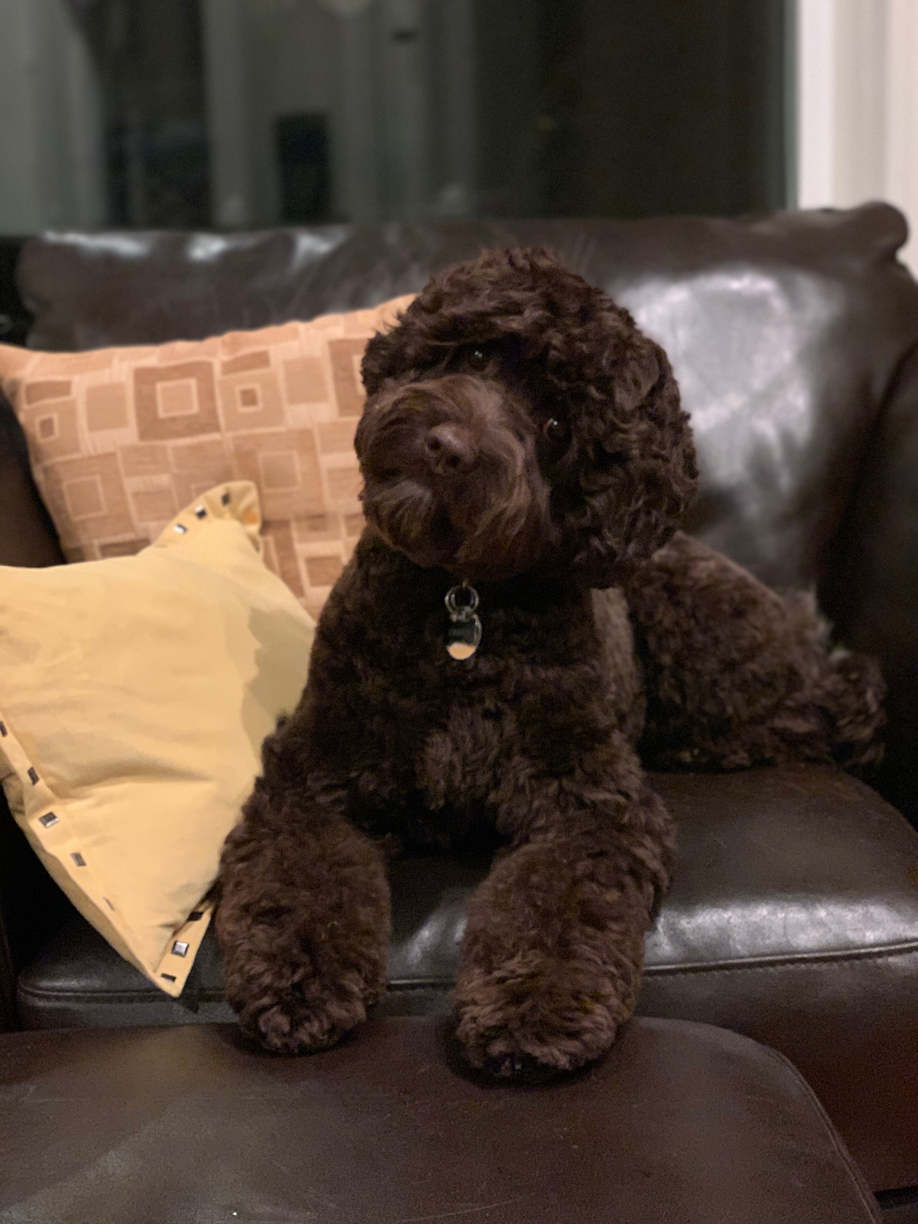 Kona