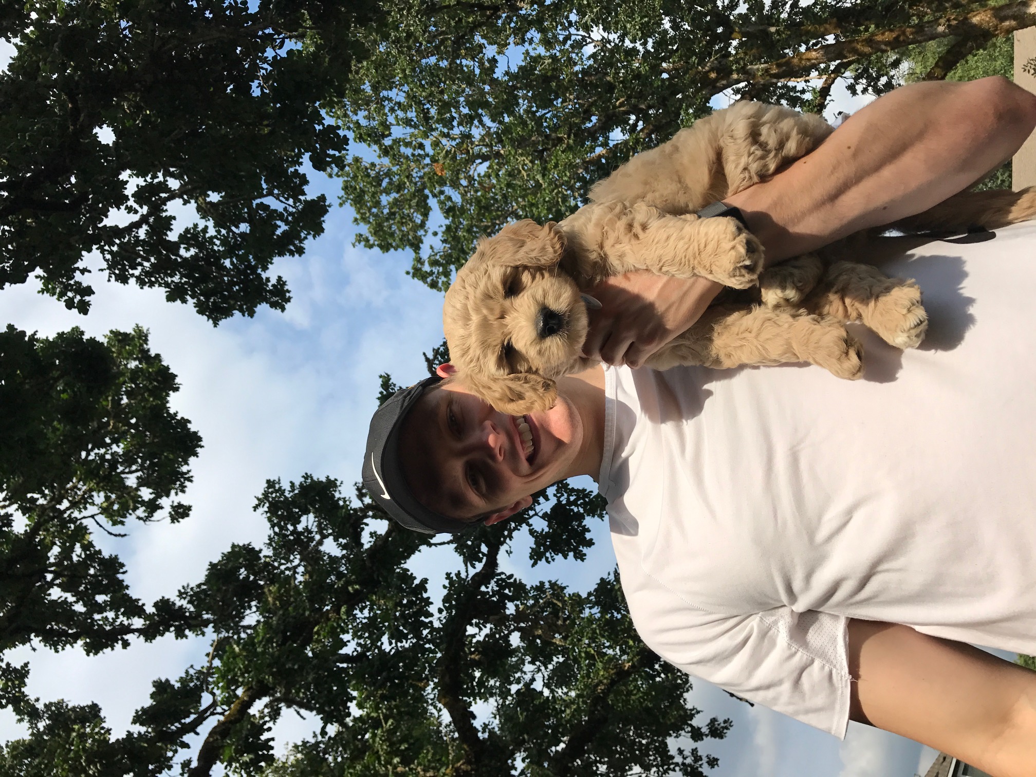 Moonlit Acres Australiandoodle