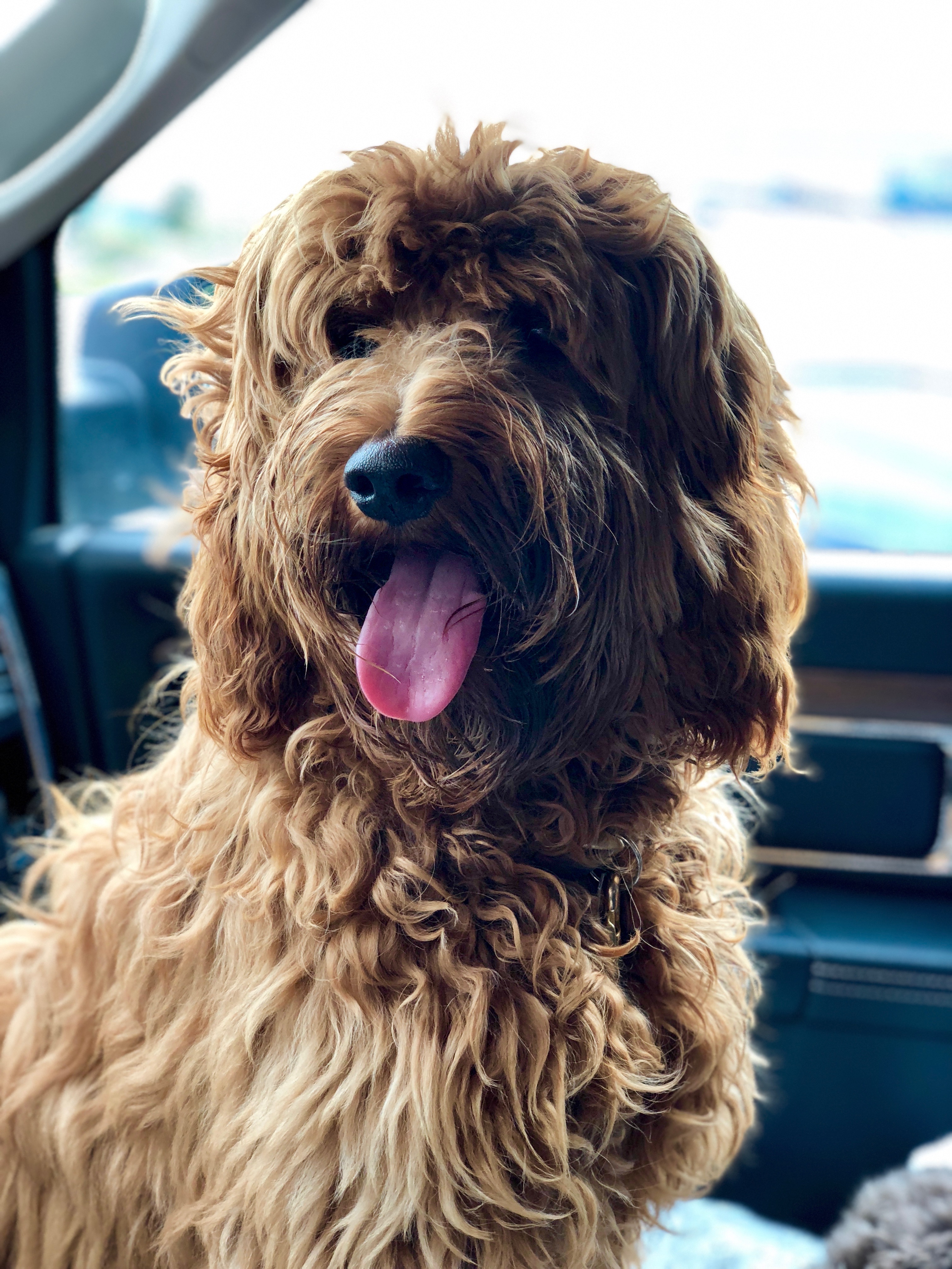 I'm so handsome!
