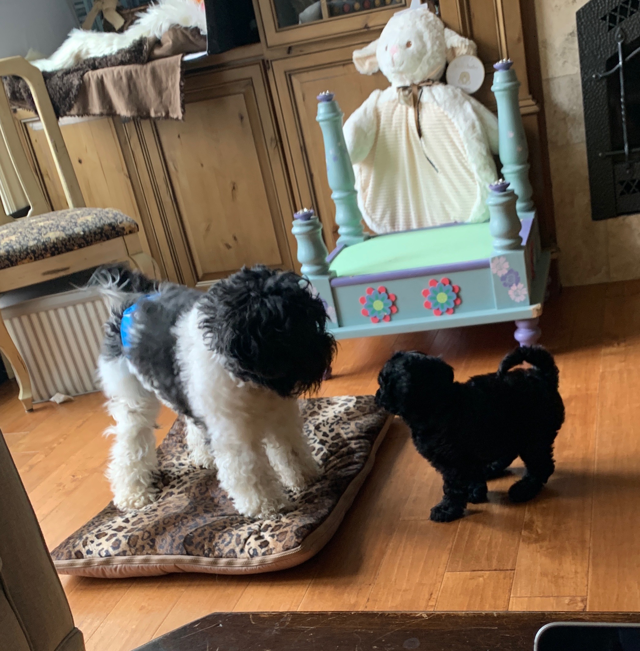 Play time with dad ❤️