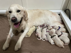 Happy, tired mama