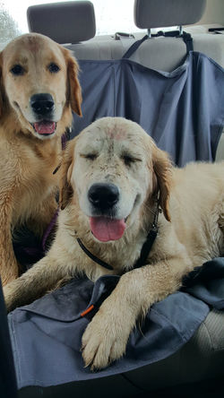 20170412_115207 copy