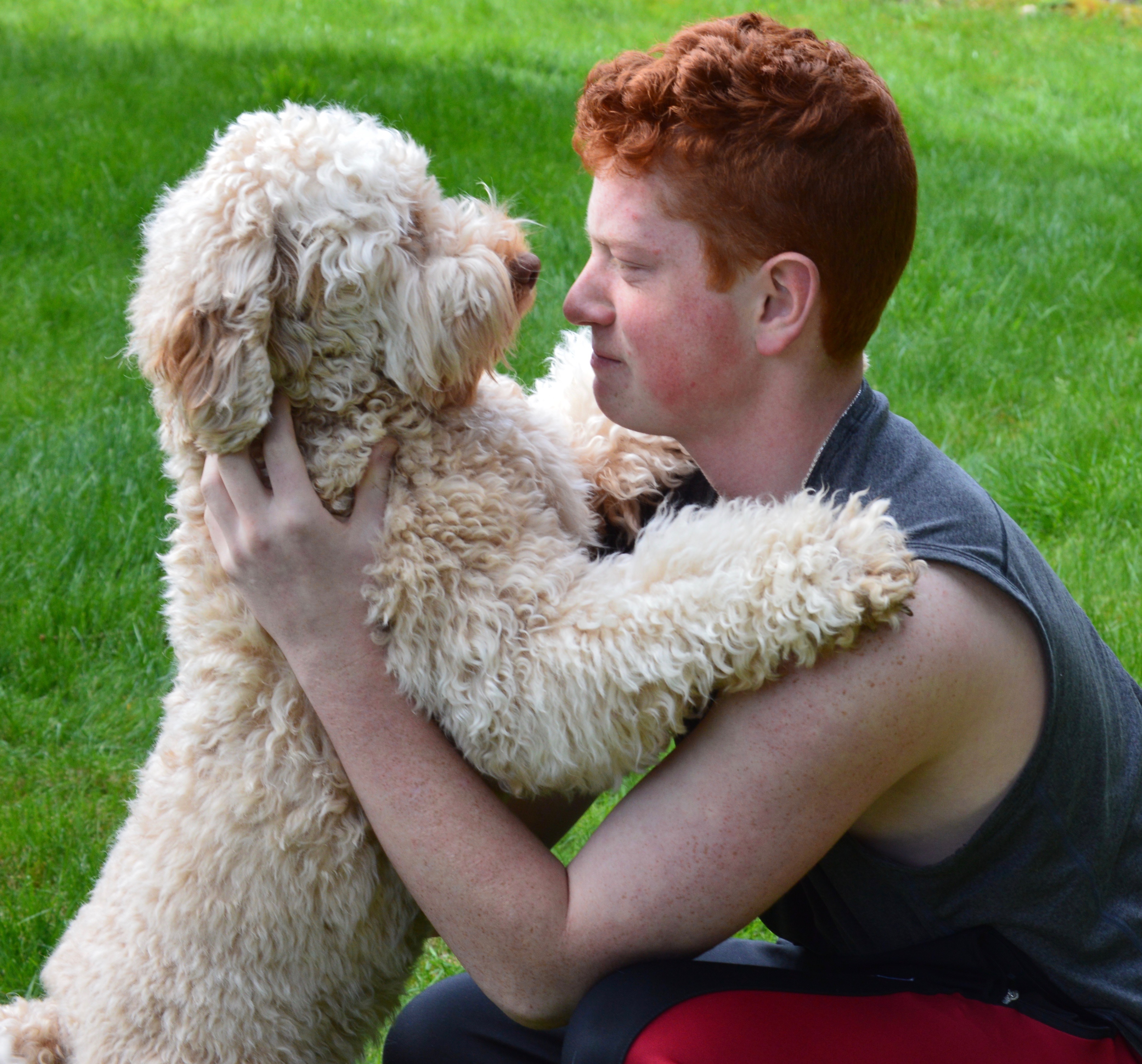 Doodle Hugs