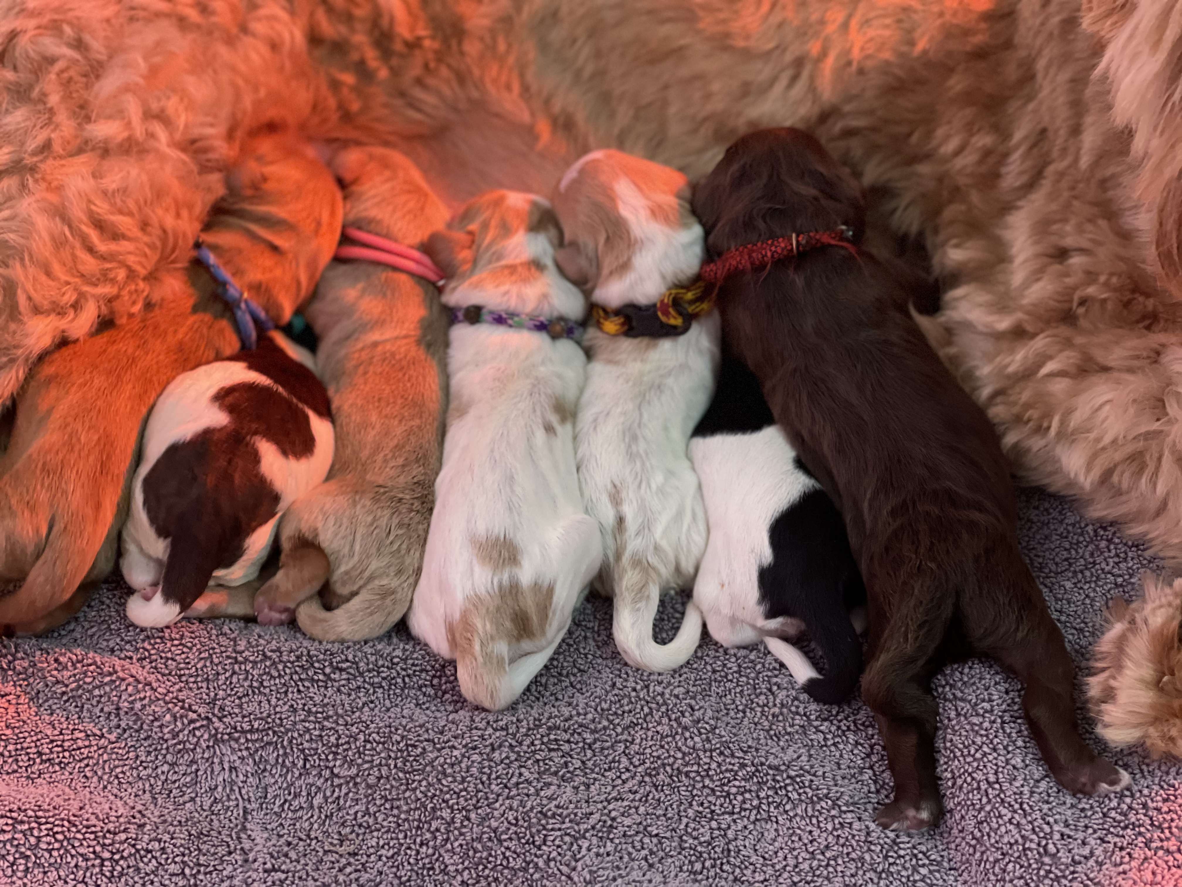 Milk Bar Is Open!