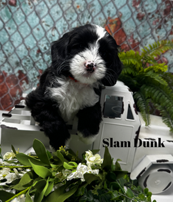 1757375183.902265-75F0BD72-7985-4472-889F-B5C43FB56F1F