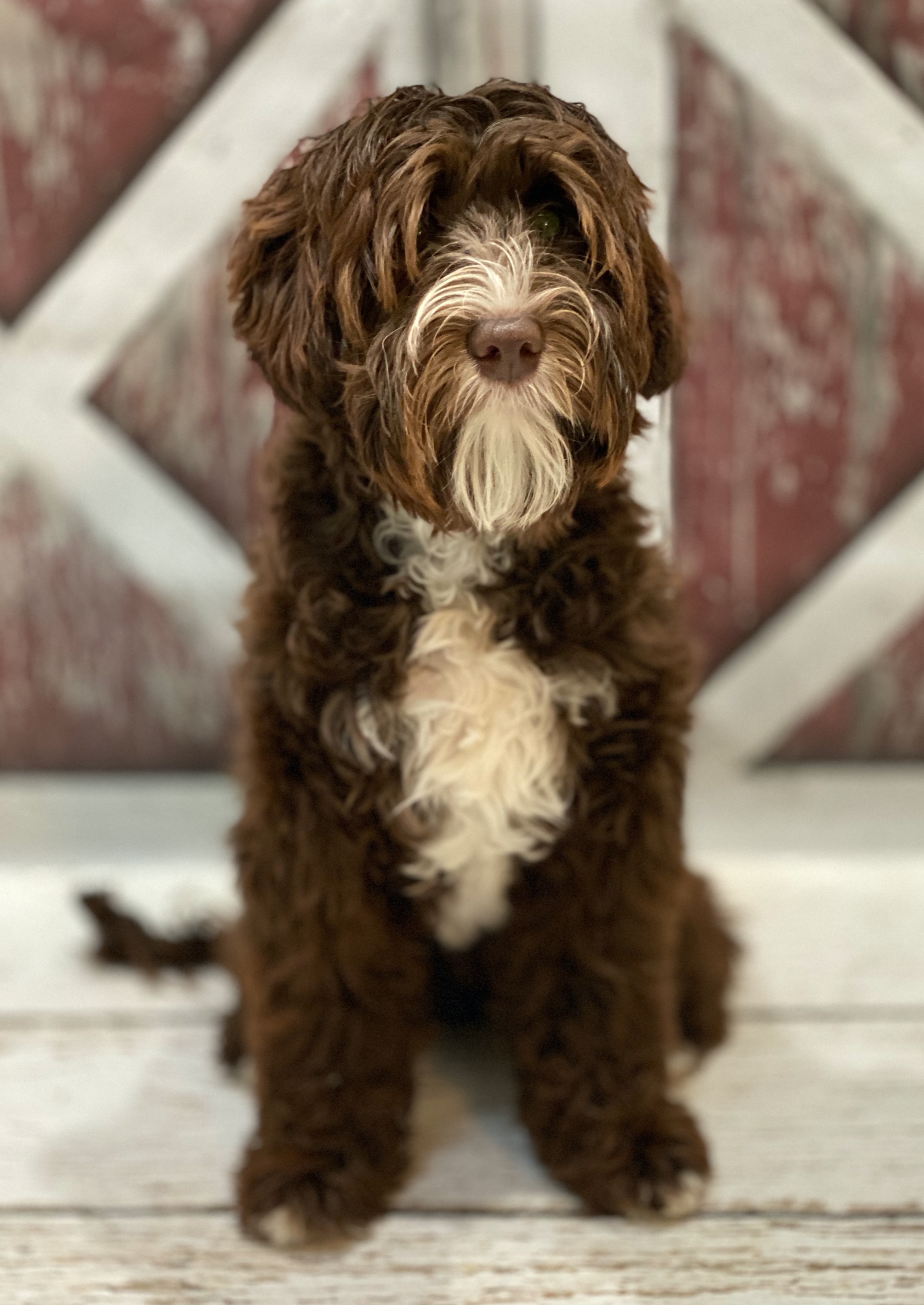 Charlie