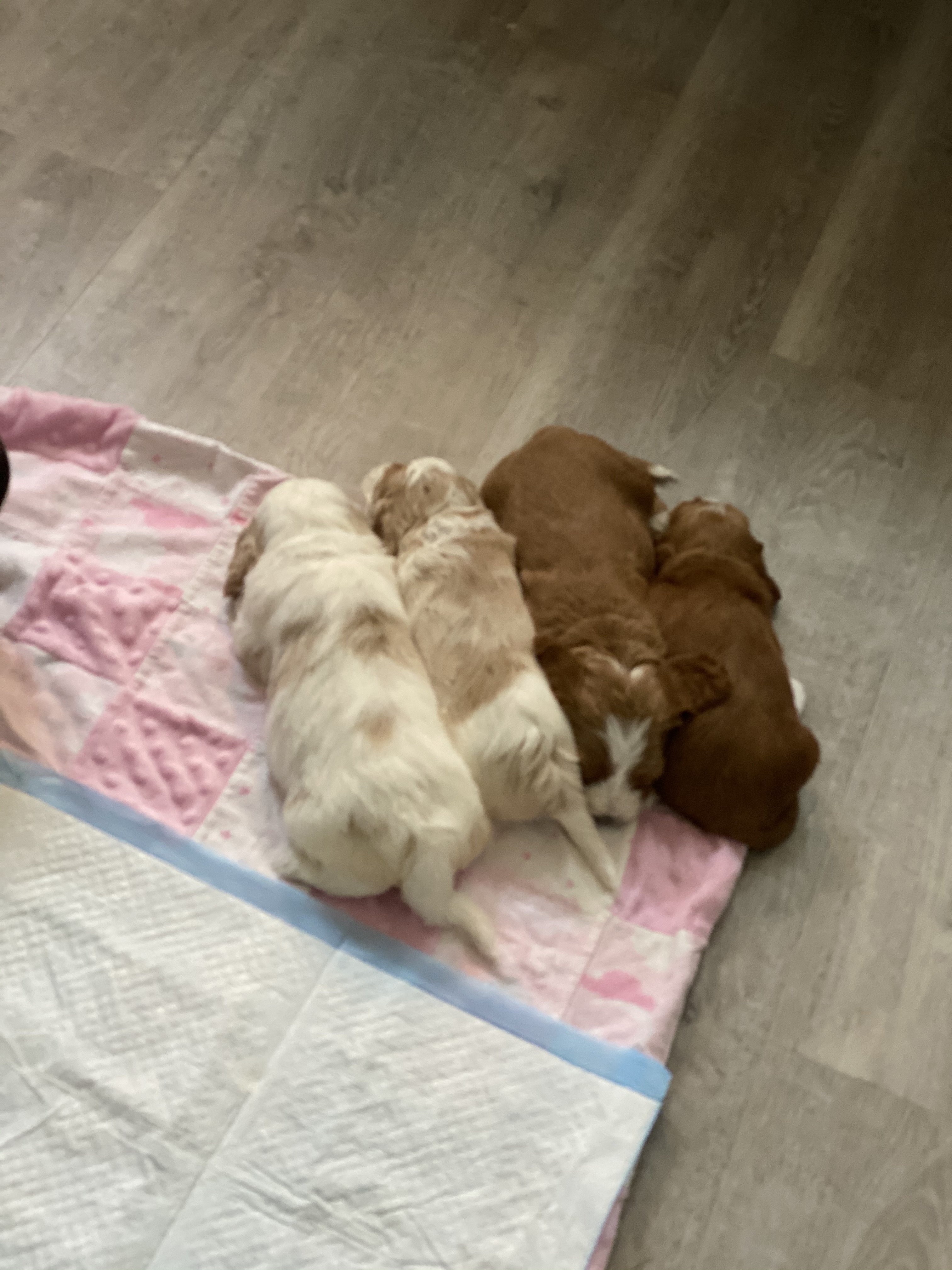 Power Nap