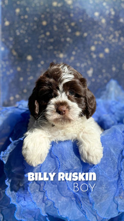 Billy Ruskin