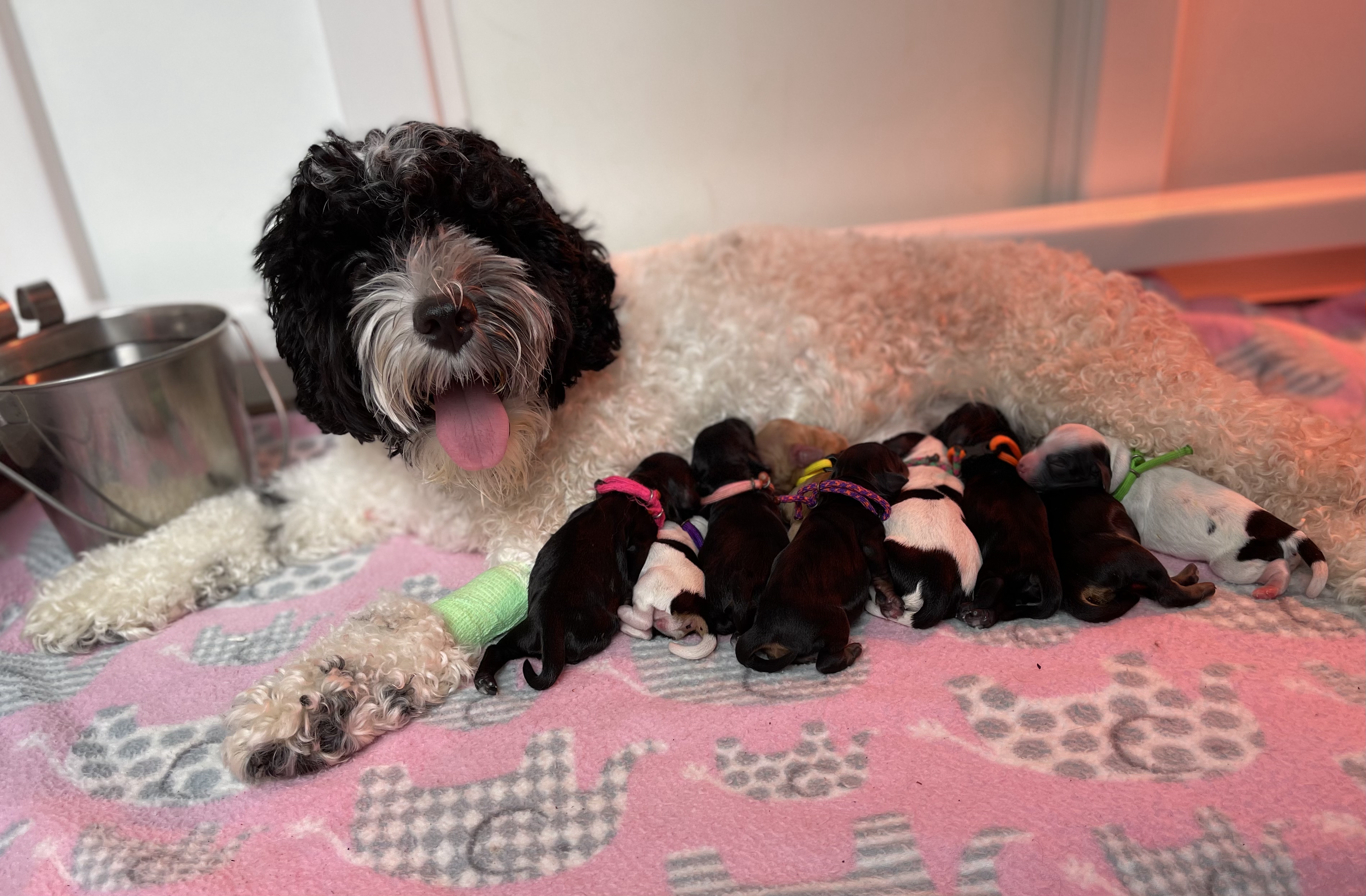 Proud mama!