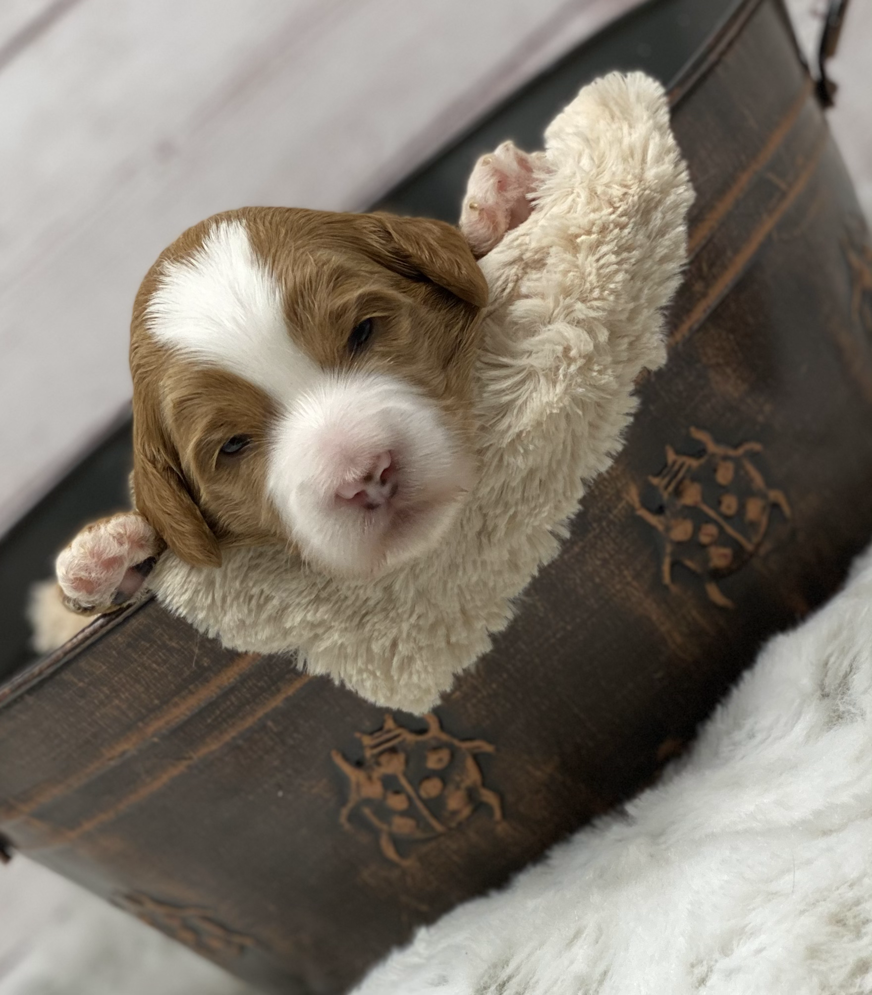 Hunk Of Love