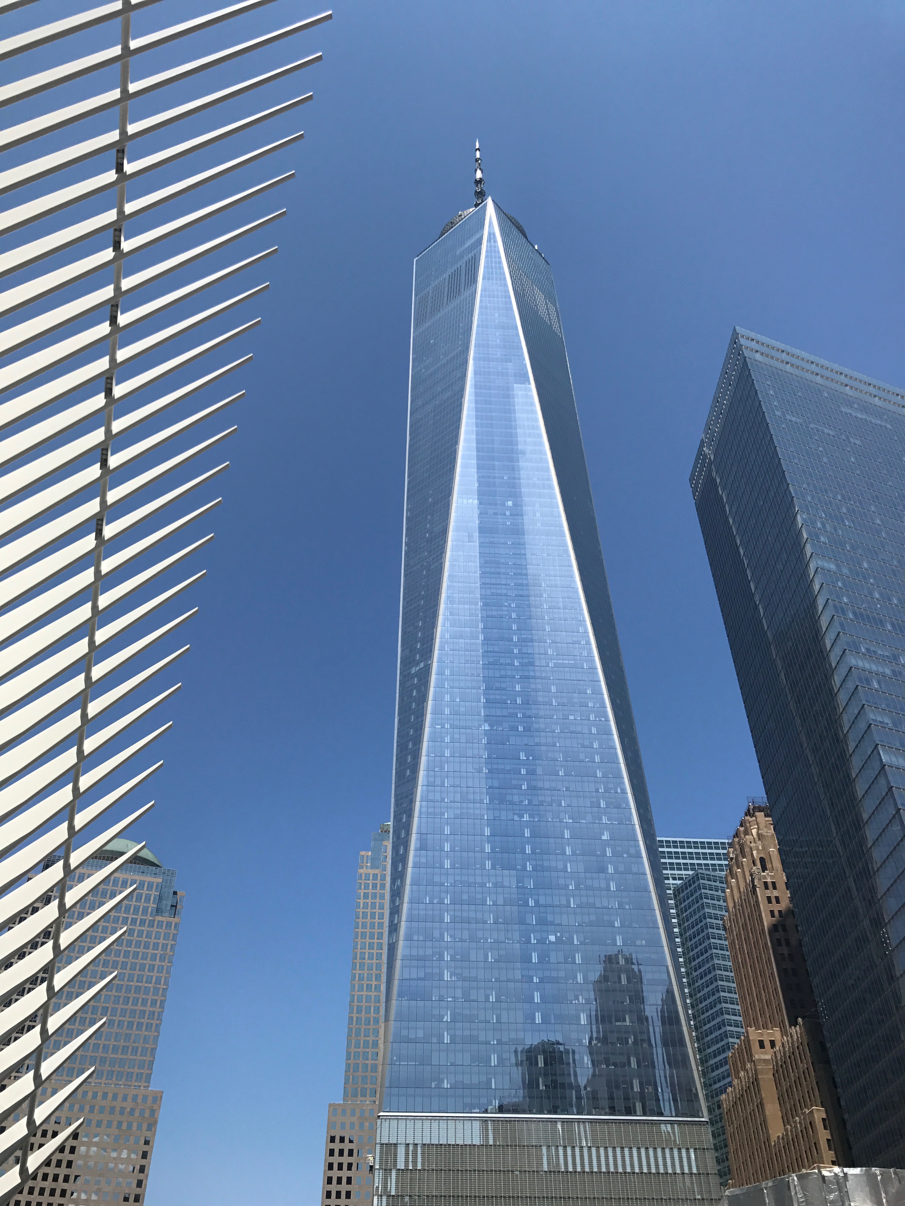 Sight Seeing New York City