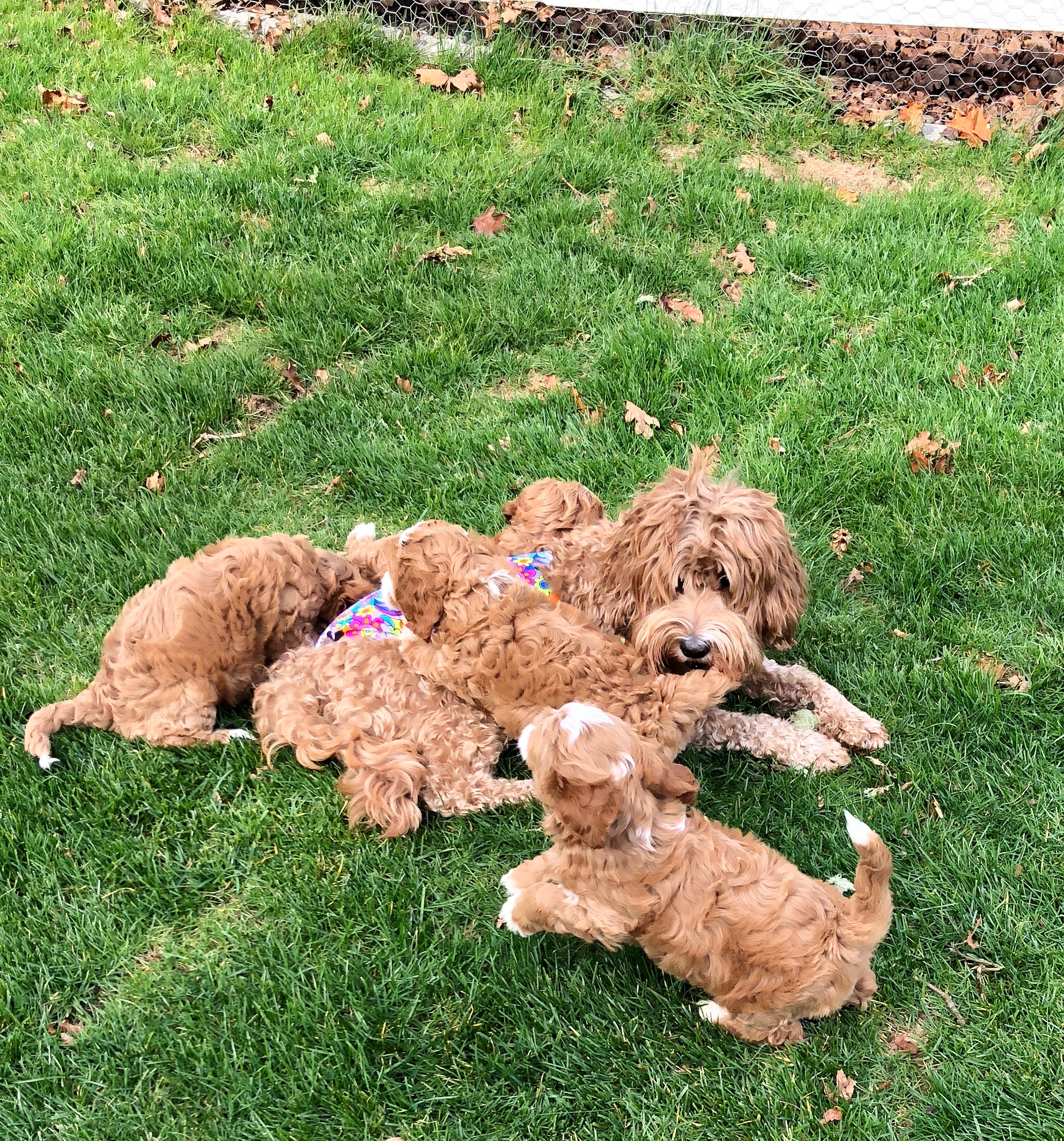 Mama time