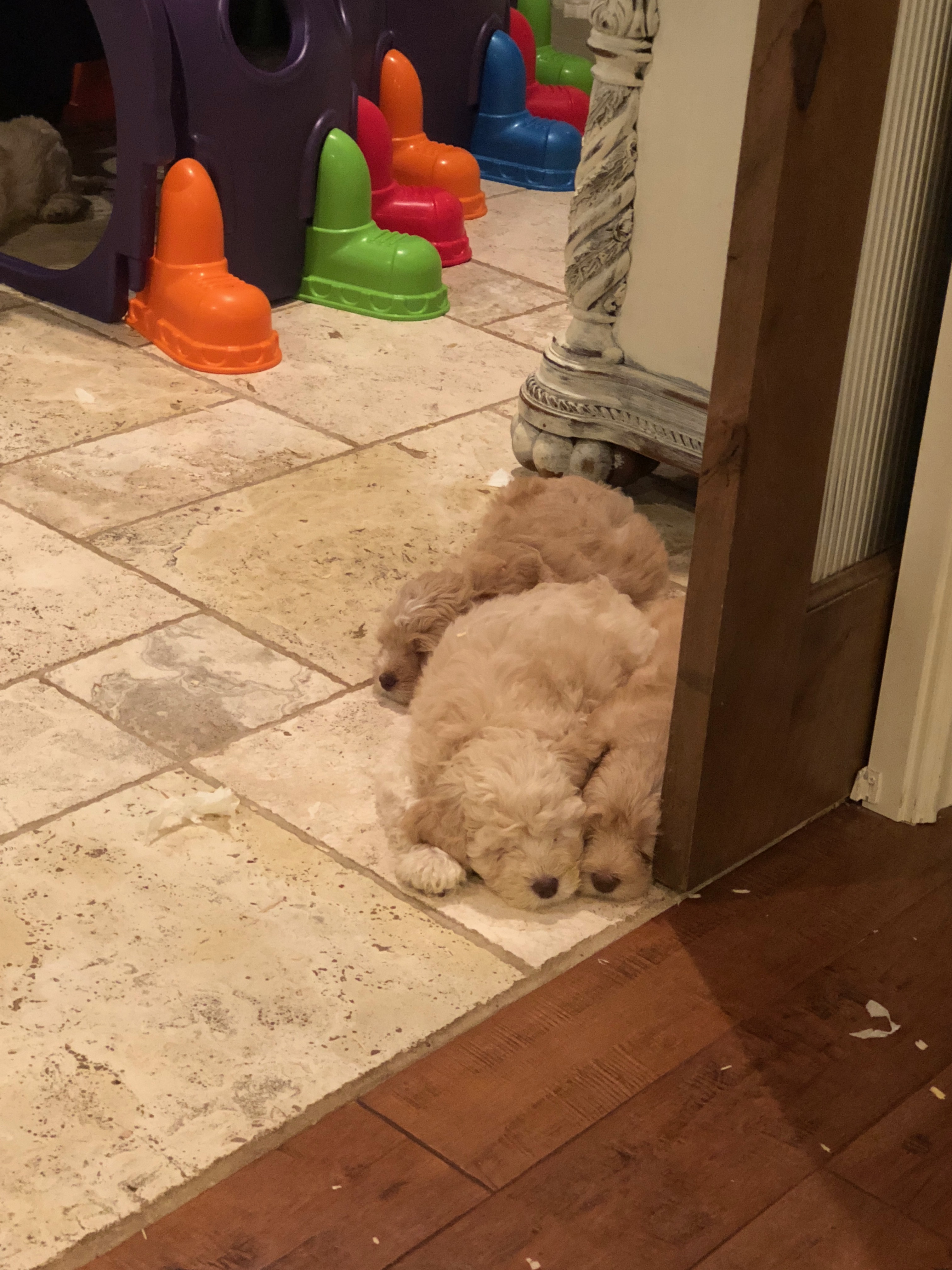 ZZZZZZZ