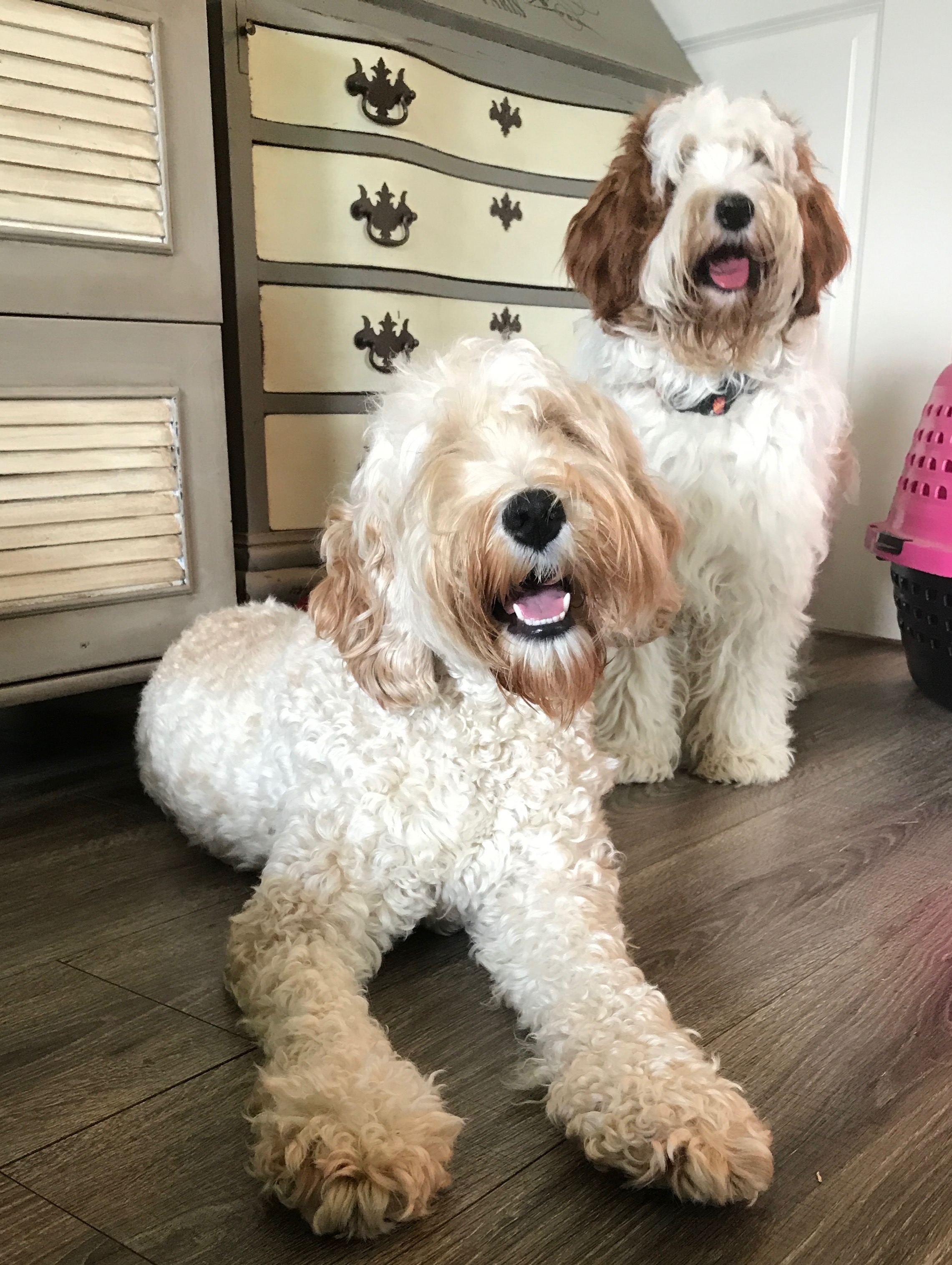 Gracie and her friend Ruby