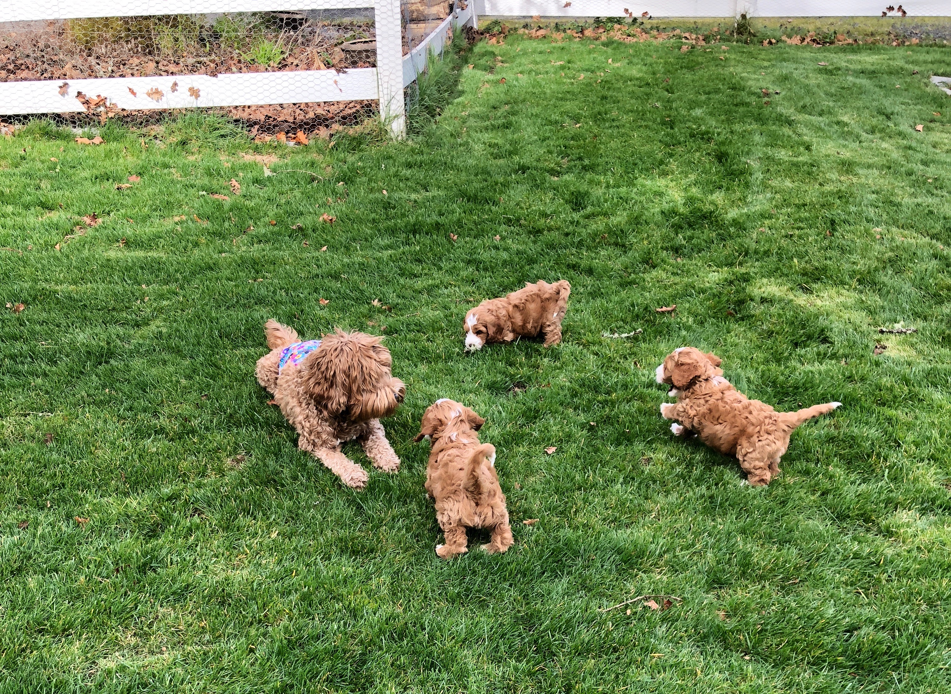 Mama holding court