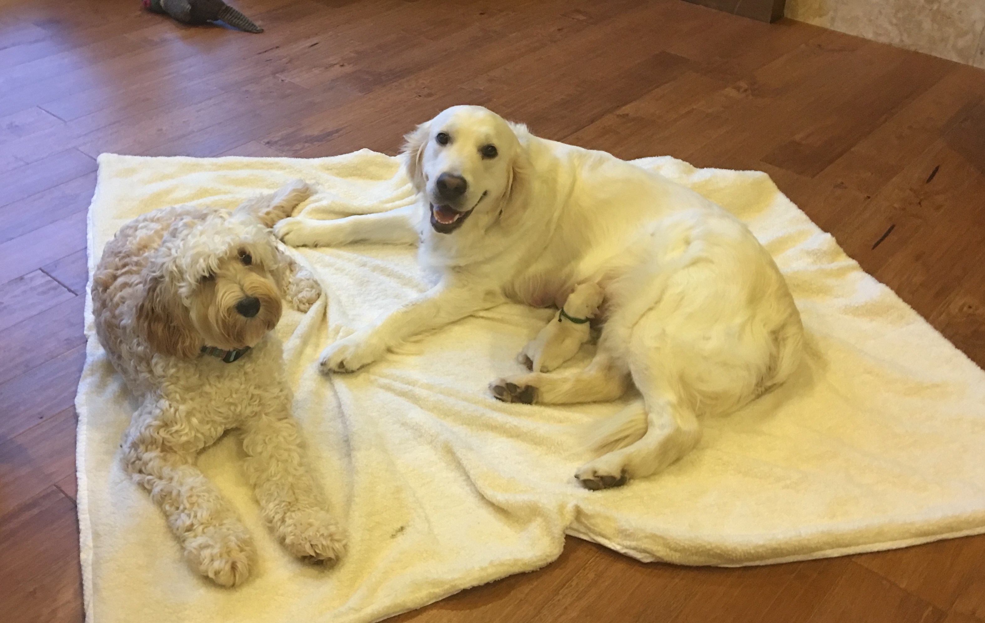 Helping a prego mama rest