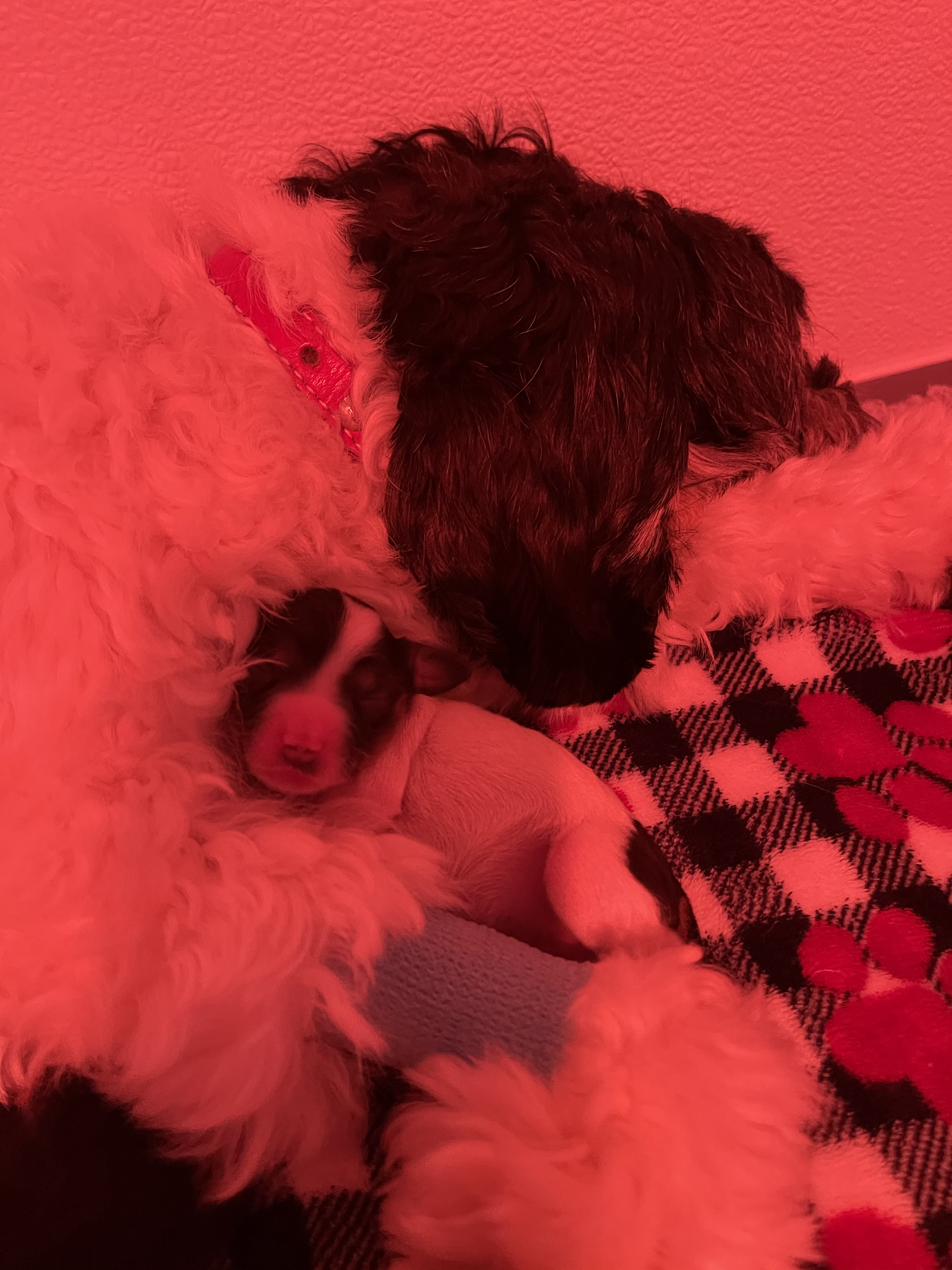 snuggle time
