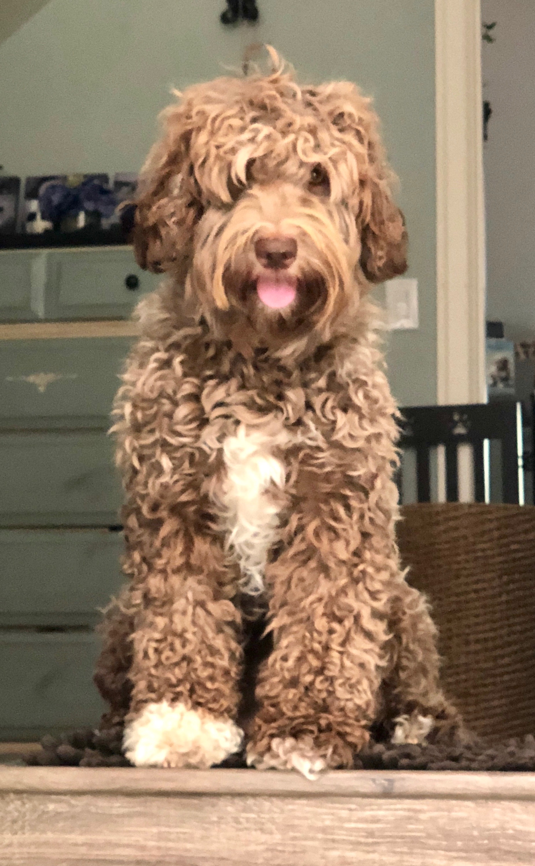 Truffles