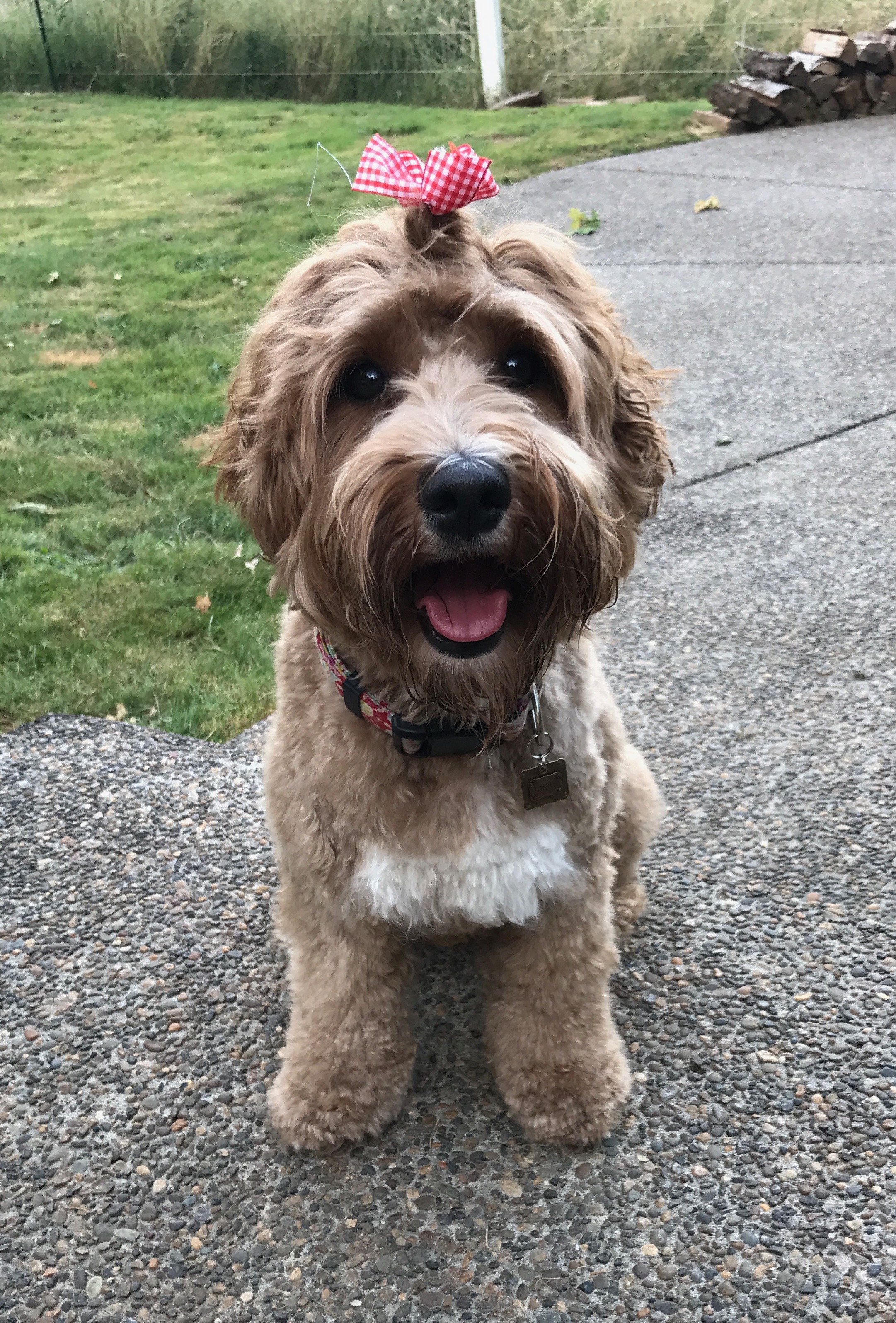Sugar: Lola's mama