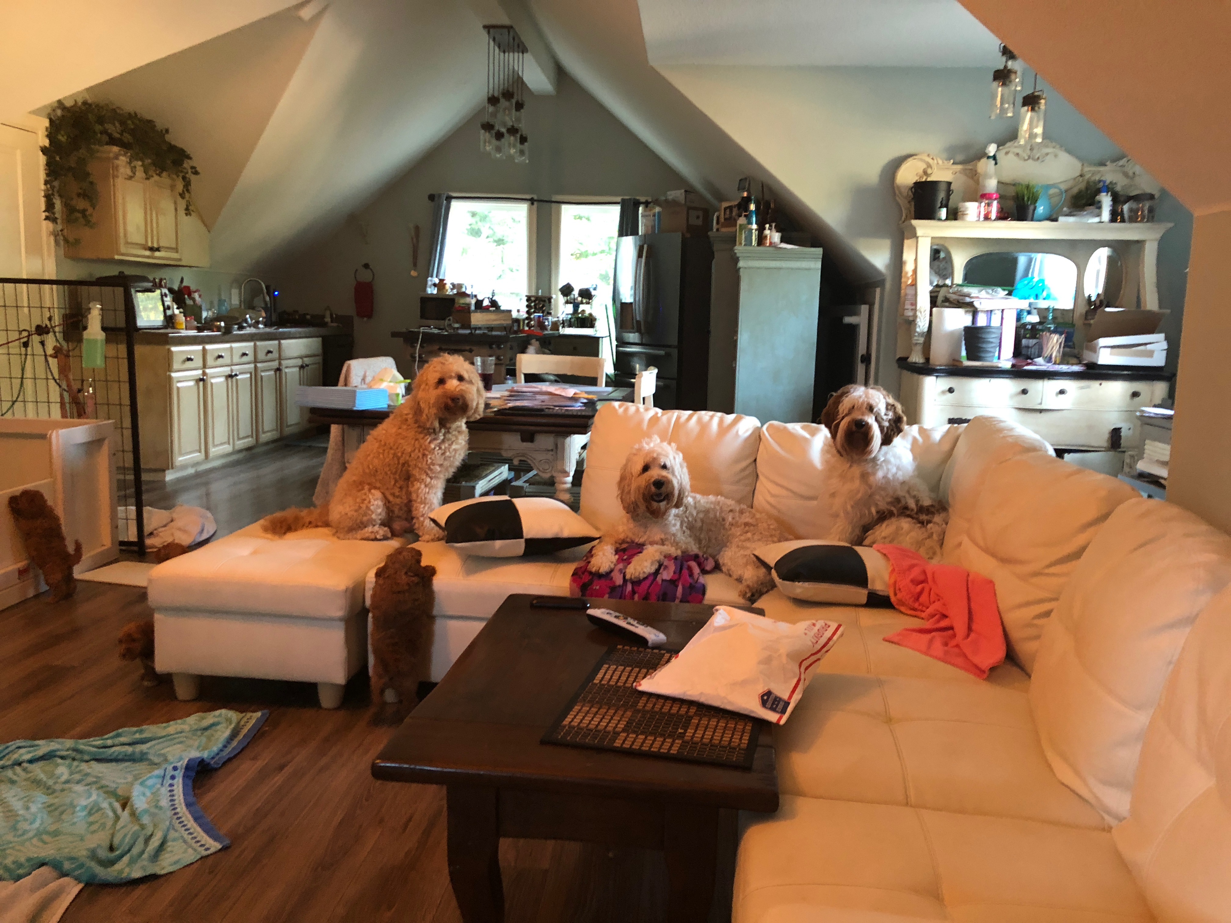 The peanut gallery watching