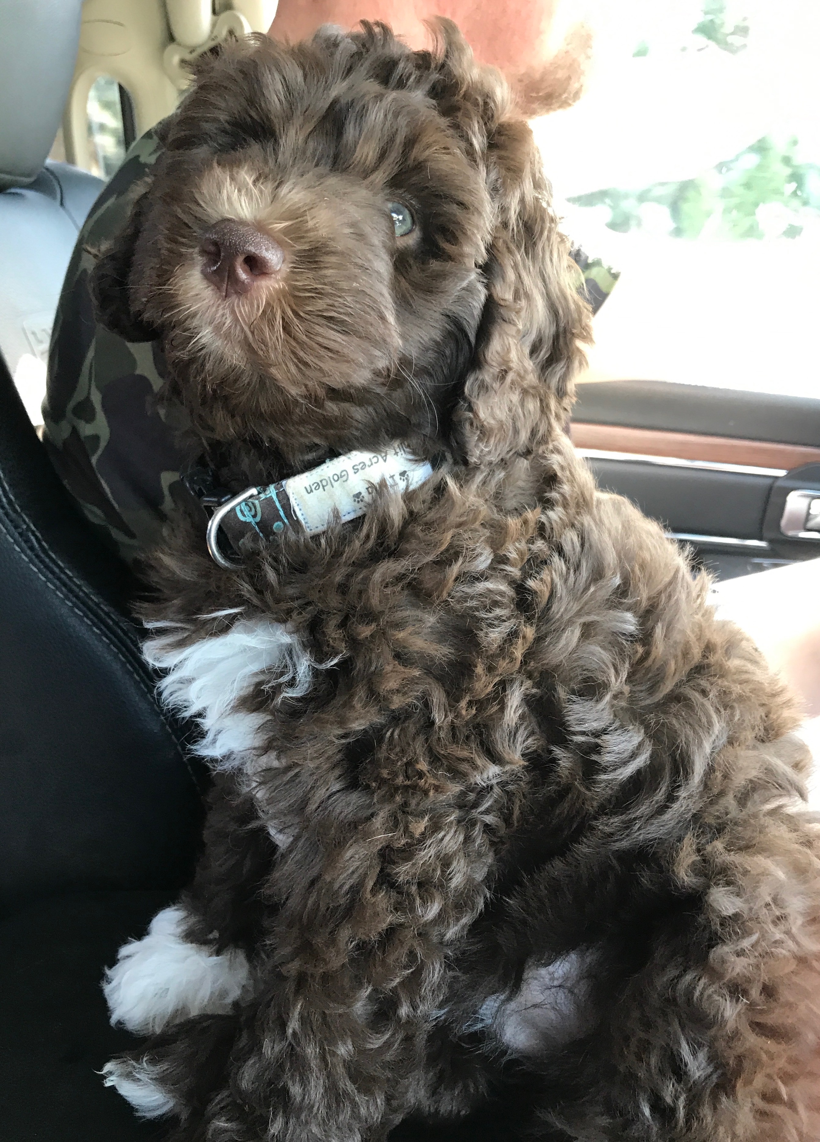 Doodle Road Trip