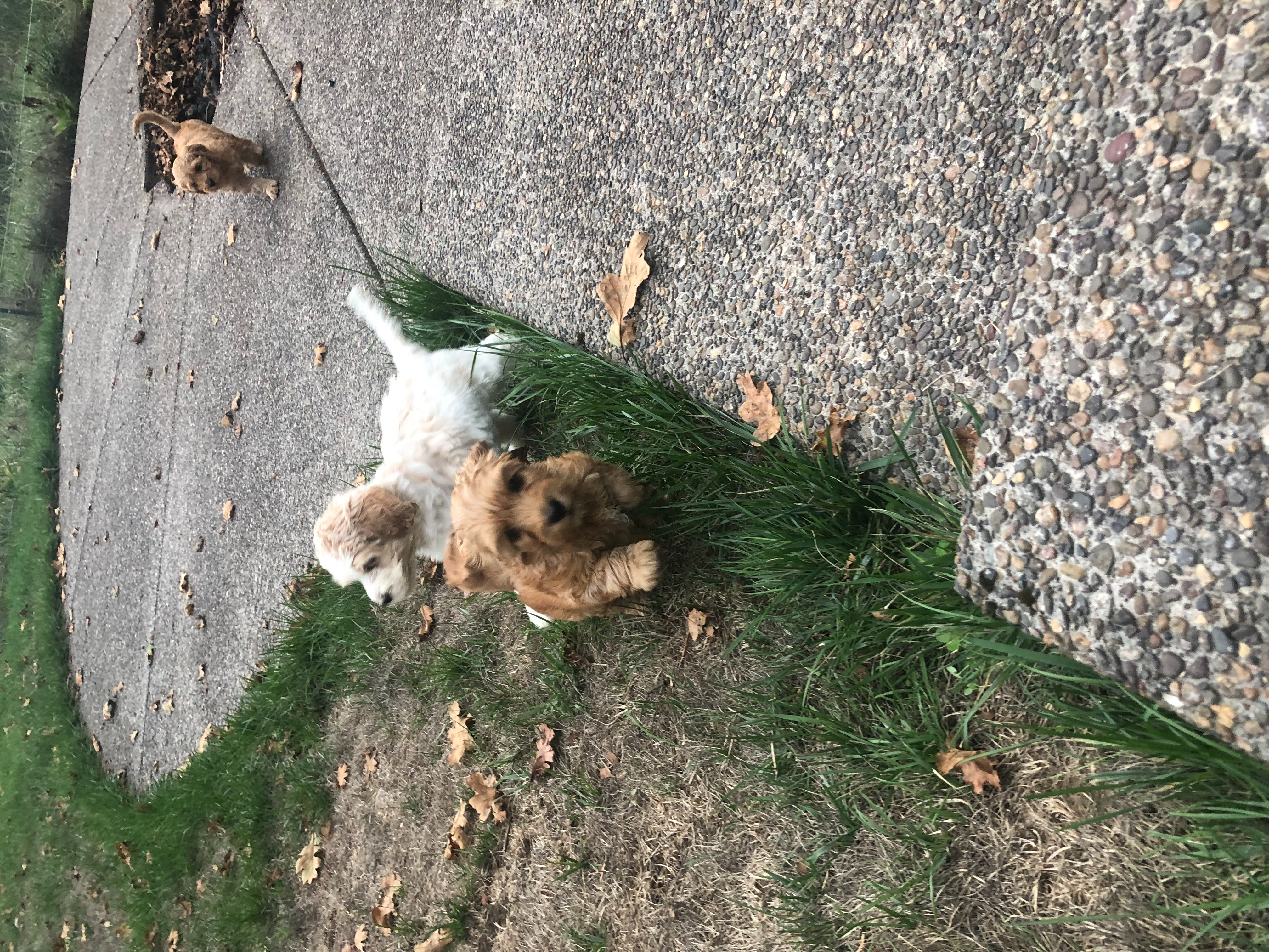 Exploring