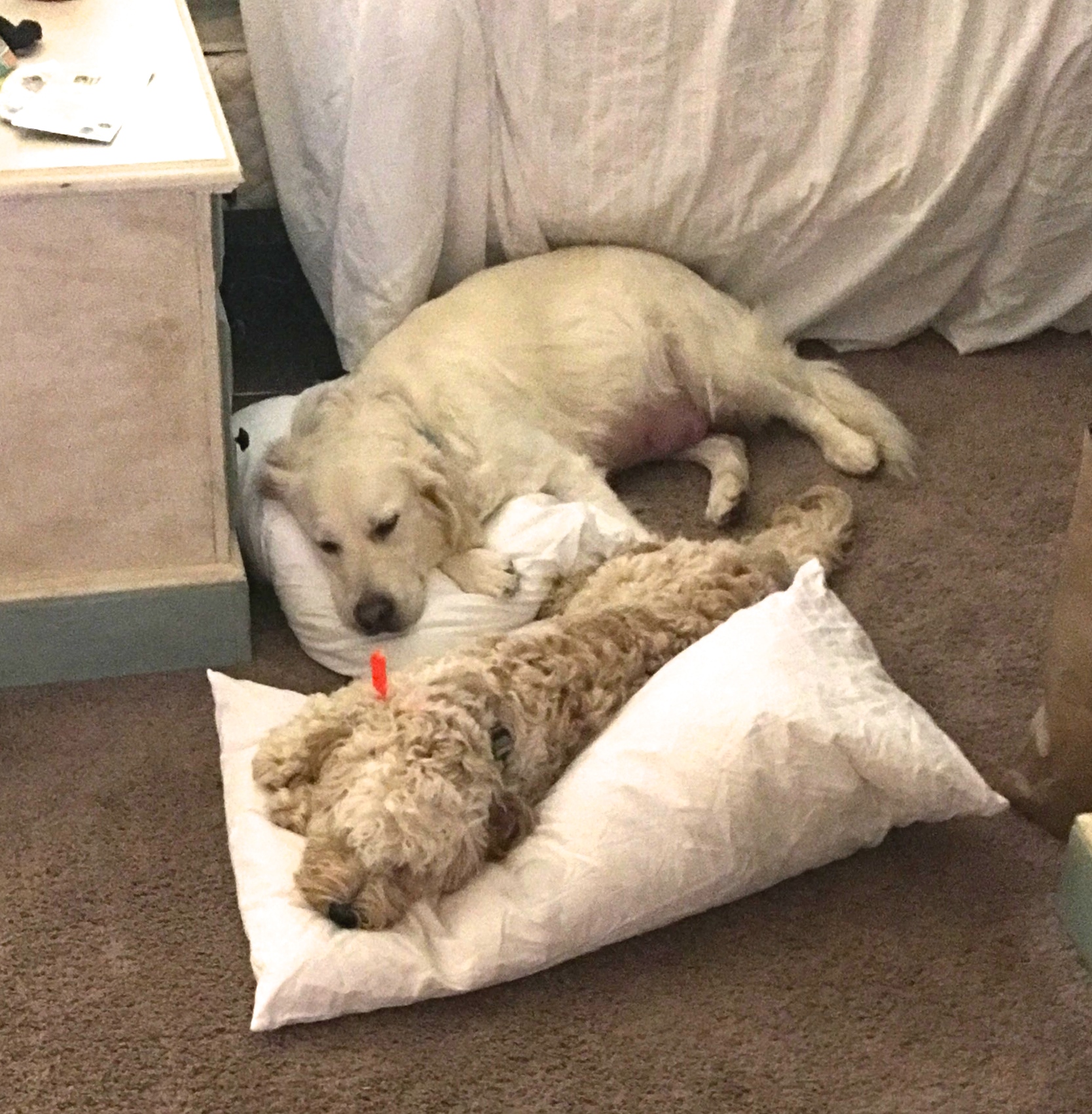 Best friend is having babies